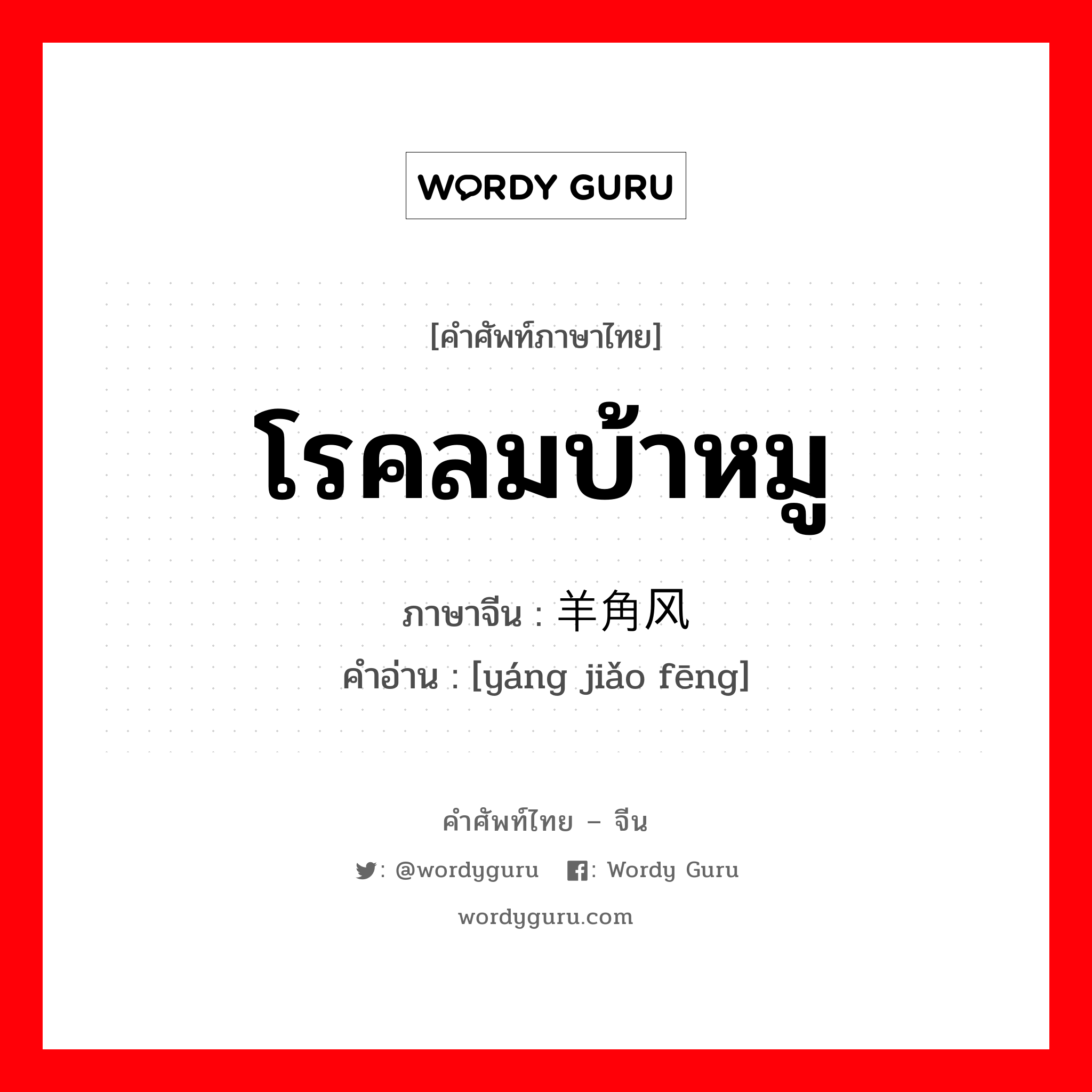 โรคลมบ้าหมู ภาษาจีนคืออะไร, คำศัพท์ภาษาไทย - จีน โรคลมบ้าหมู ภาษาจีน 羊角风 คำอ่าน [yáng jiǎo fēng]