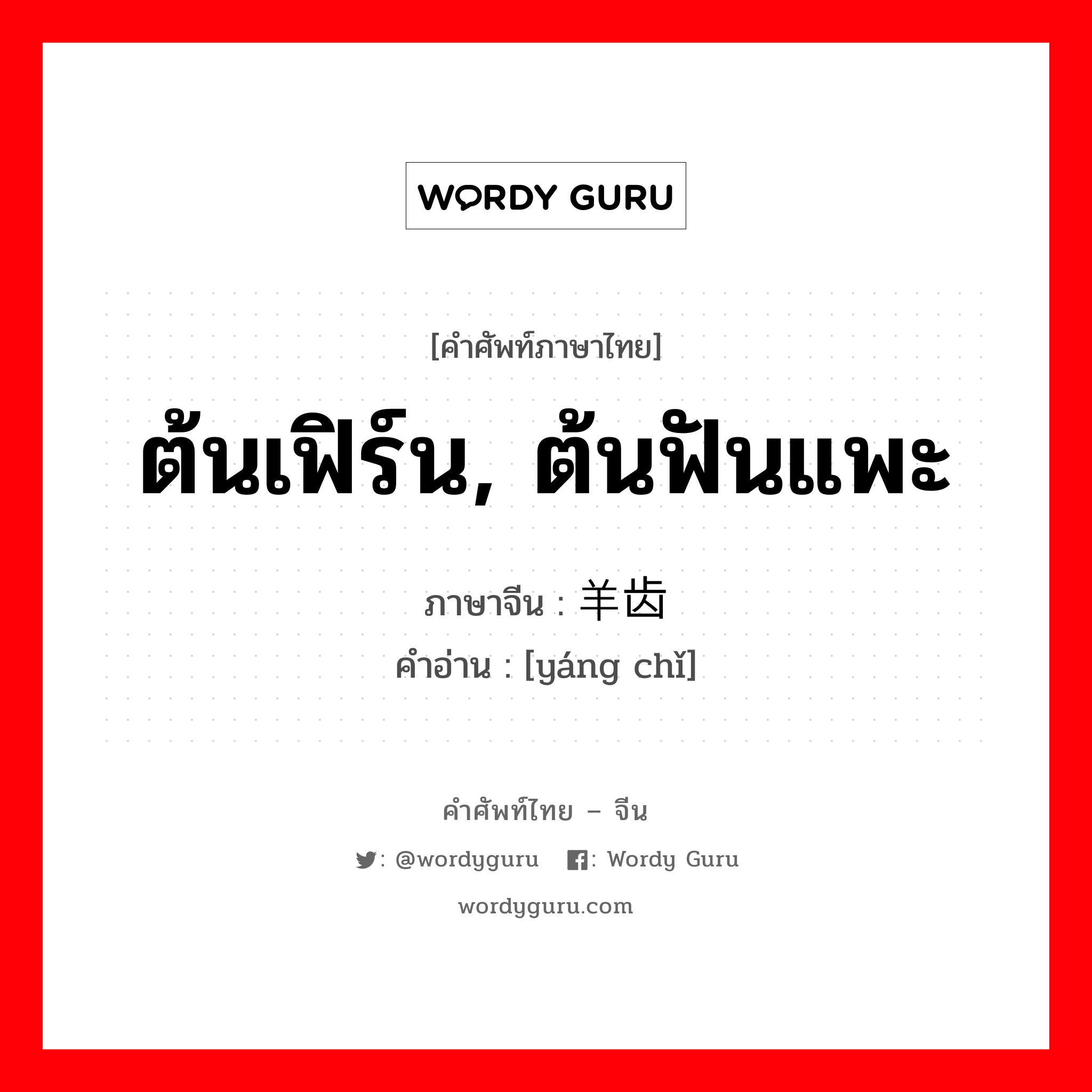 ต้นเฟิร์น, ต้นฟันแพะ ภาษาจีนคืออะไร, คำศัพท์ภาษาไทย - จีน ต้นเฟิร์น, ต้นฟันแพะ ภาษาจีน 羊齿 คำอ่าน [yáng chǐ]