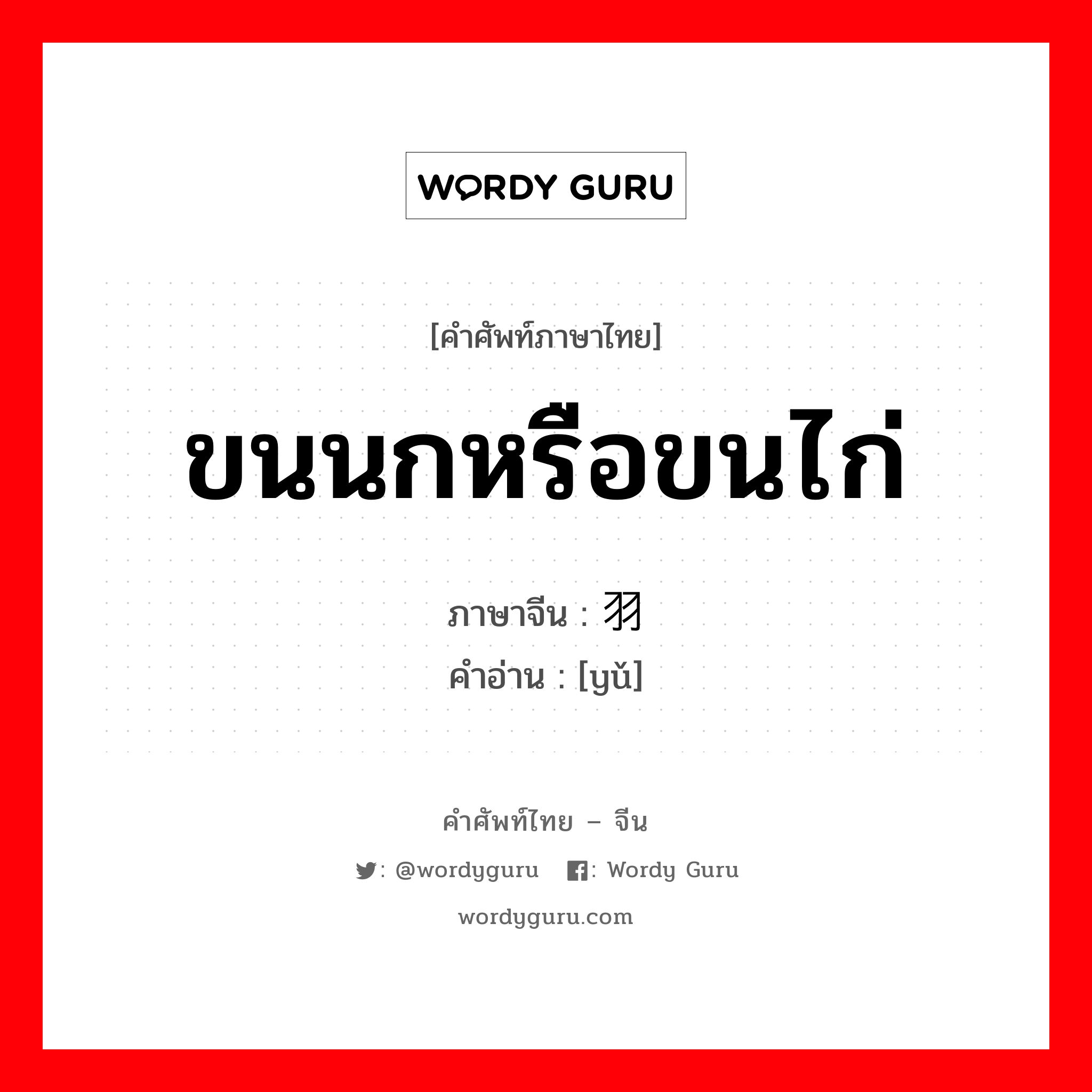 ขนนกหรือขนไก่ ภาษาจีนคืออะไร, คำศัพท์ภาษาไทย - จีน ขนนกหรือขนไก่ ภาษาจีน 羽 คำอ่าน [yǔ]