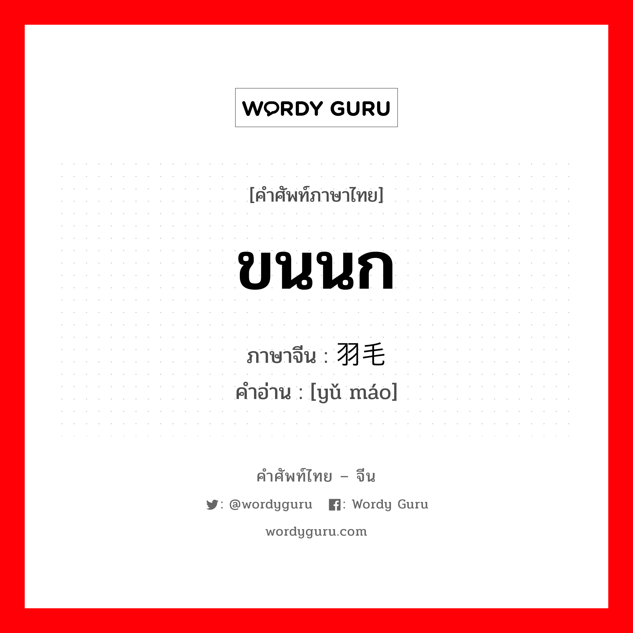 ขนนก ภาษาจีนคืออะไร, คำศัพท์ภาษาไทย - จีน ขนนก ภาษาจีน 羽毛 คำอ่าน [yǔ máo]