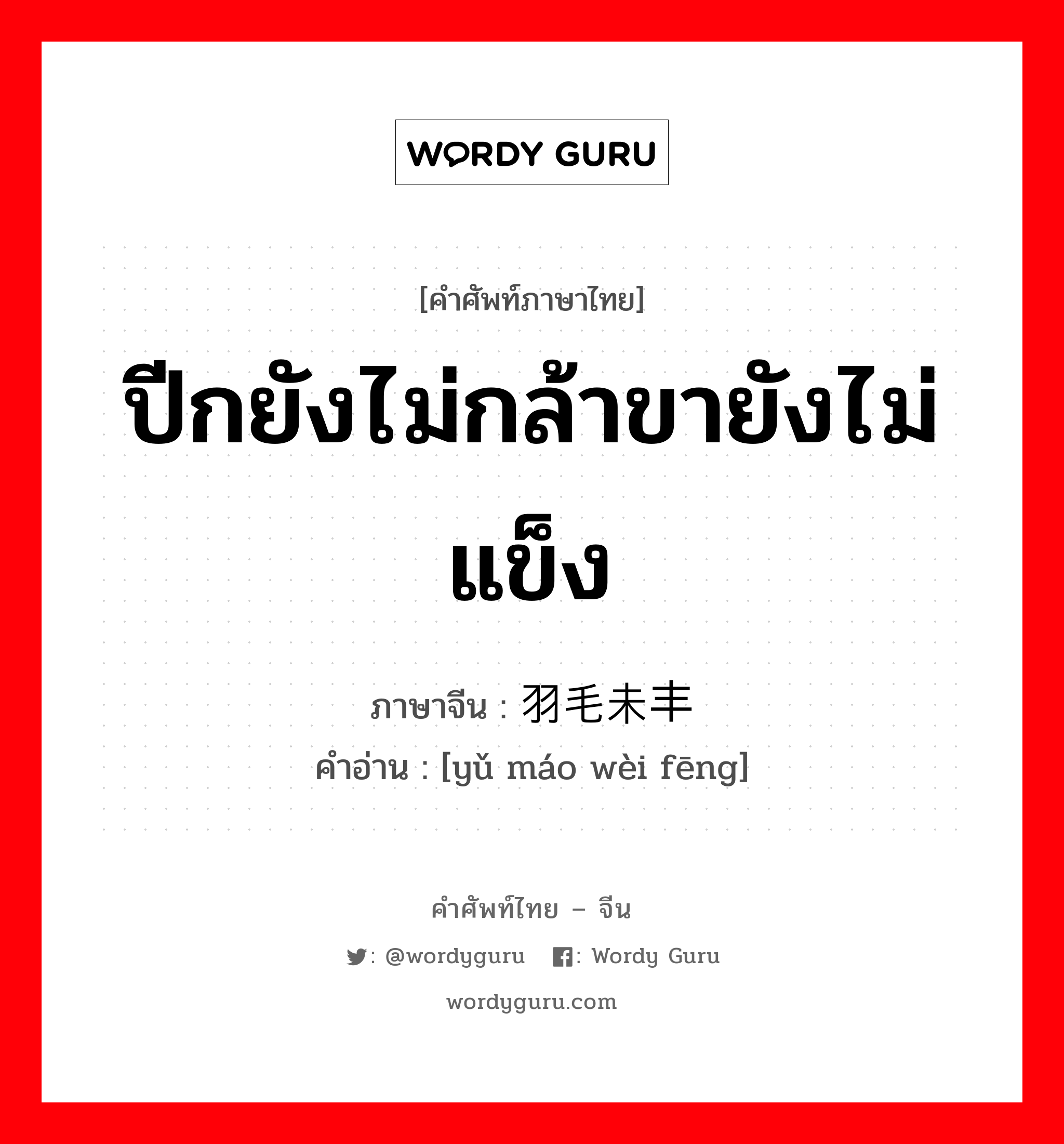 ปีกยังไม่กล้าขายังไม่แข็ง ภาษาจีนคืออะไร, คำศัพท์ภาษาไทย - จีน ปีกยังไม่กล้าขายังไม่แข็ง ภาษาจีน 羽毛未丰 คำอ่าน [yǔ máo wèi fēng]