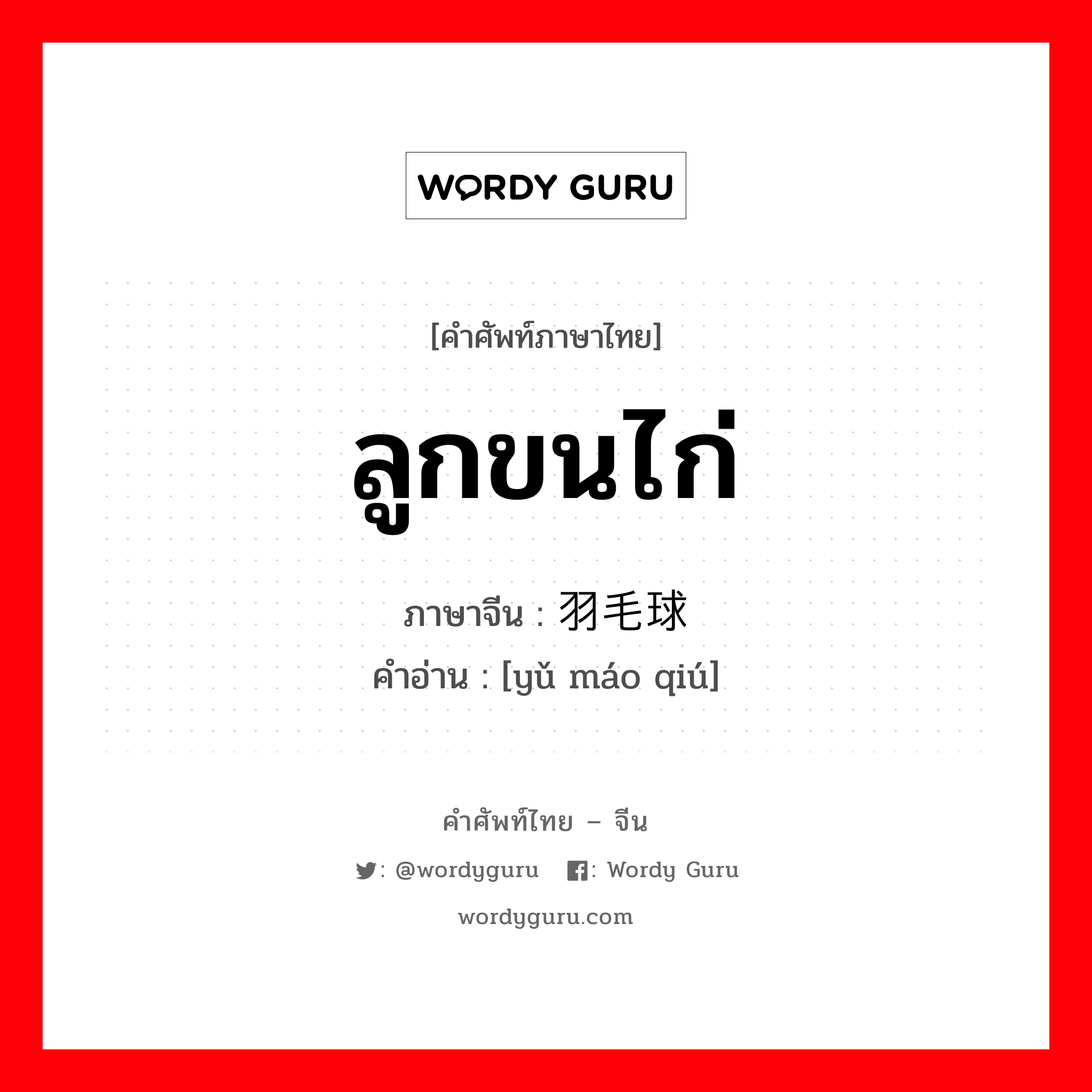 ลูกขนไก่ ภาษาจีนคืออะไร, คำศัพท์ภาษาไทย - จีน ลูกขนไก่ ภาษาจีน 羽毛球 คำอ่าน [yǔ máo qiú]