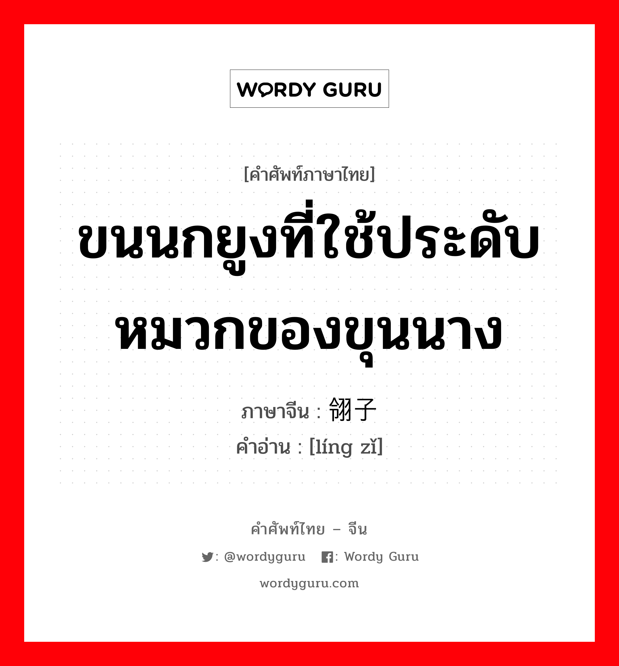 ขนนกยูงที่ใช้ประดับหมวกของขุนนาง ภาษาจีนคืออะไร, คำศัพท์ภาษาไทย - จีน ขนนกยูงที่ใช้ประดับหมวกของขุนนาง ภาษาจีน 翎子 คำอ่าน [líng zǐ]