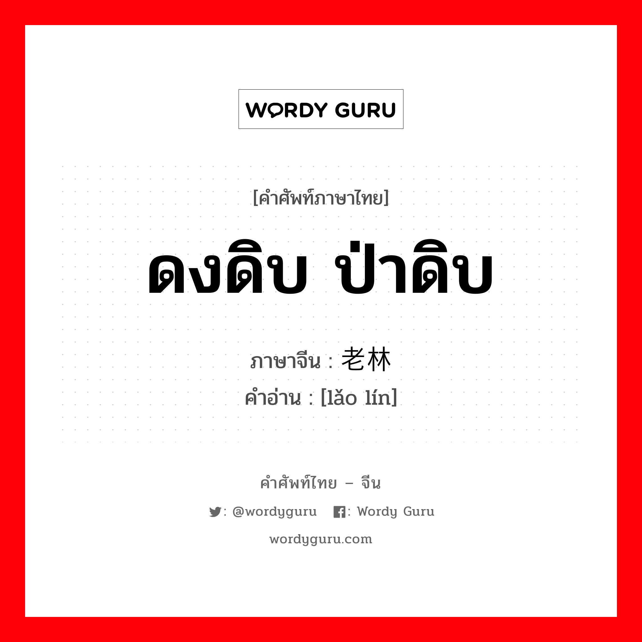 ดงดิบ ป่าดิบ ภาษาจีนคืออะไร, คำศัพท์ภาษาไทย - จีน ดงดิบ ป่าดิบ ภาษาจีน 老林 คำอ่าน [lǎo lín]