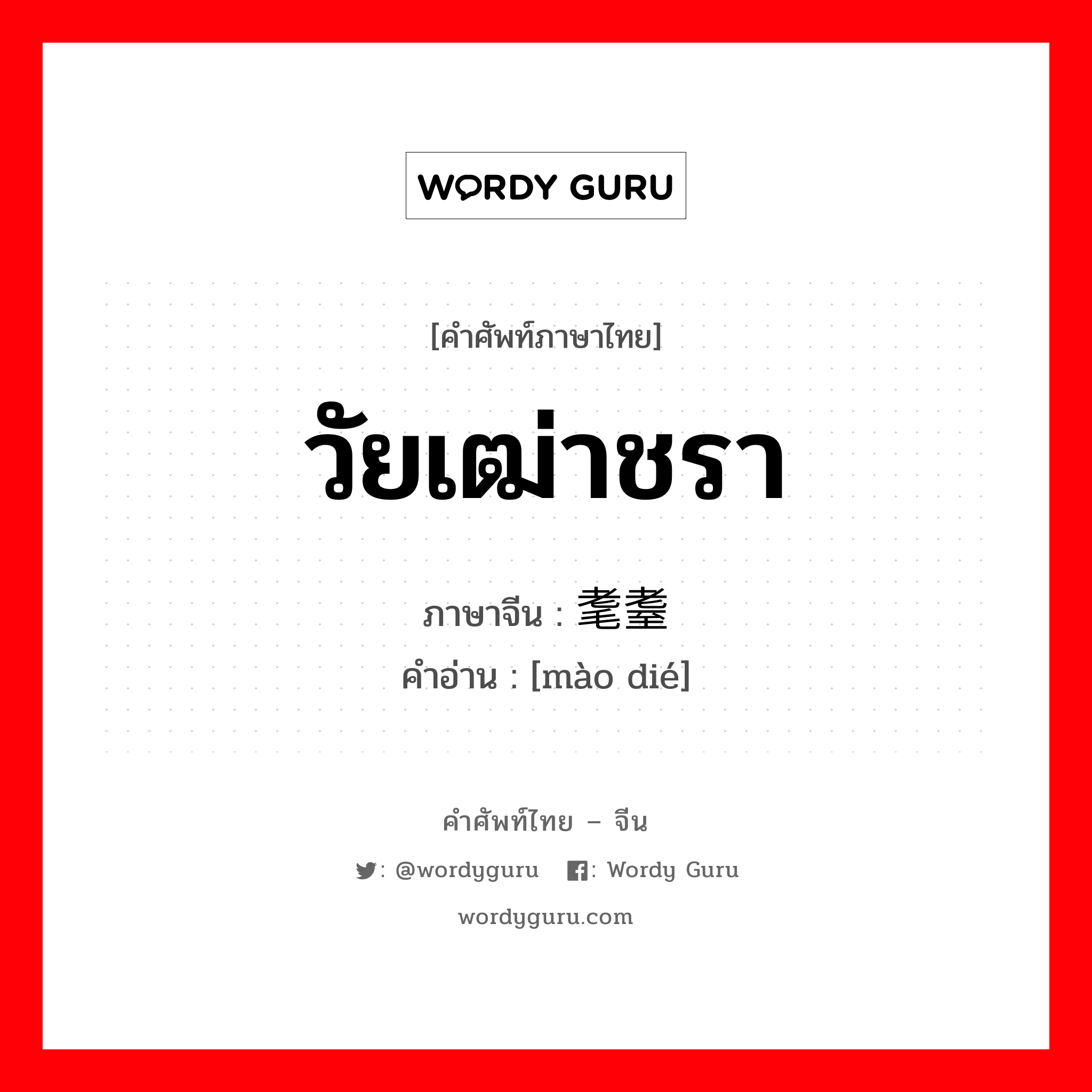 วัยเฒ่าชรา ภาษาจีนคืออะไร, คำศัพท์ภาษาไทย - จีน วัยเฒ่าชรา ภาษาจีน 耄耋 คำอ่าน [mào dié]