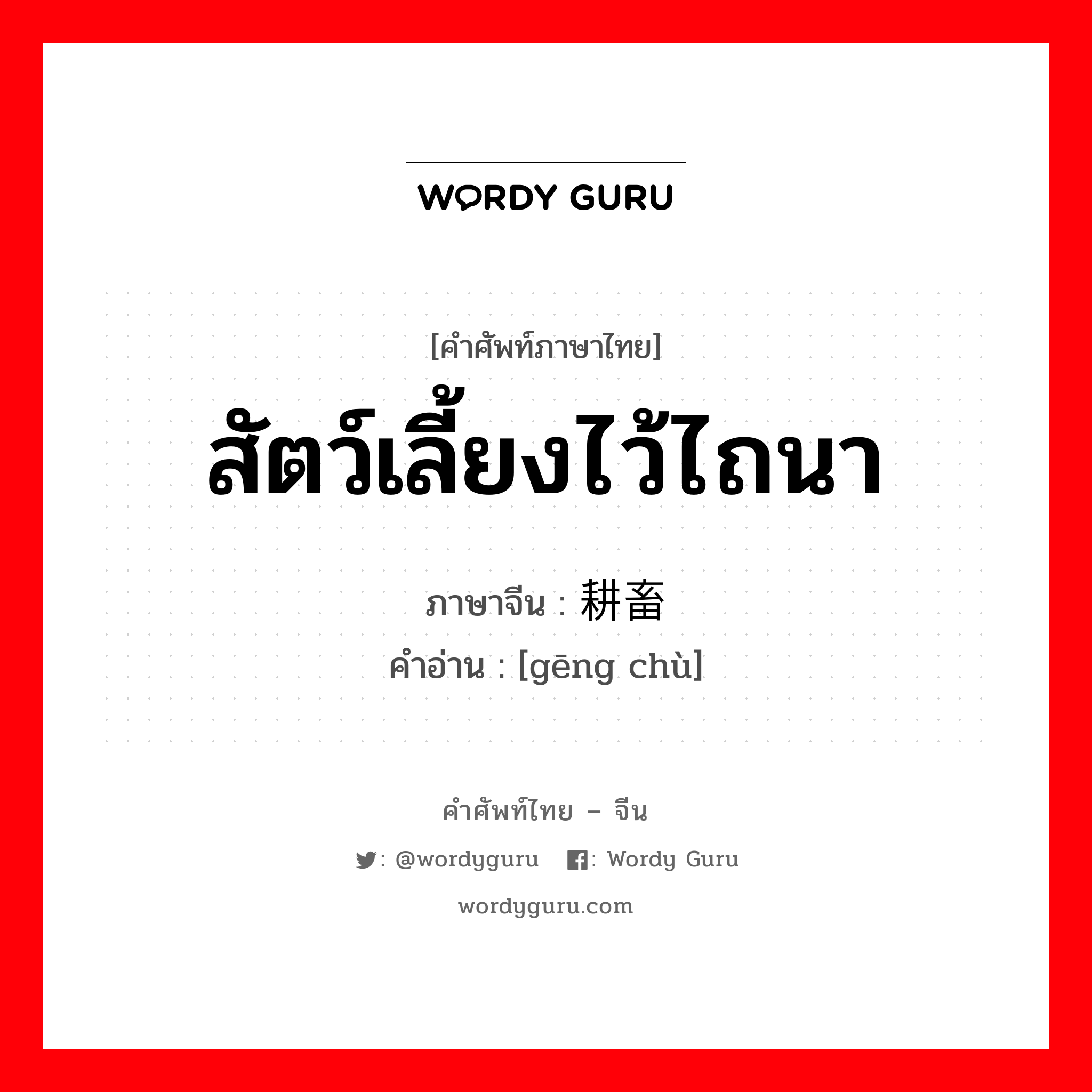 สัตว์เลี้ยงไว้ไถนา ภาษาจีนคืออะไร, คำศัพท์ภาษาไทย - จีน สัตว์เลี้ยงไว้ไถนา ภาษาจีน 耕畜 คำอ่าน [gēng chù]