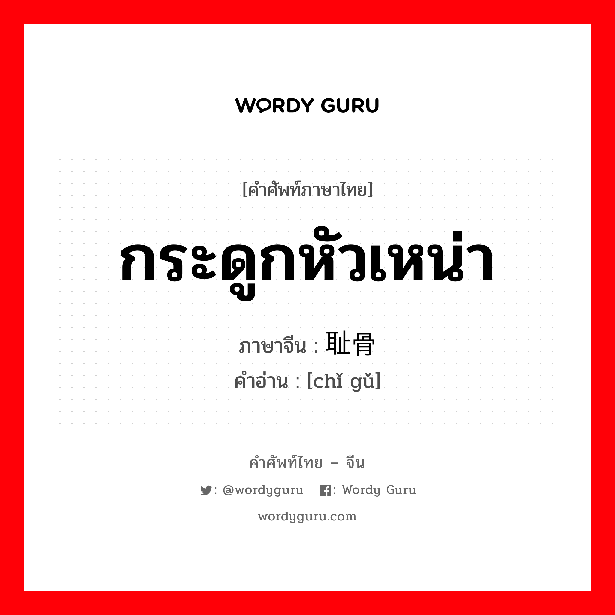 กระดูกหัวเหน่า ภาษาจีนคืออะไร, คำศัพท์ภาษาไทย - จีน กระดูกหัวเหน่า ภาษาจีน 耻骨 คำอ่าน [chǐ gǔ]