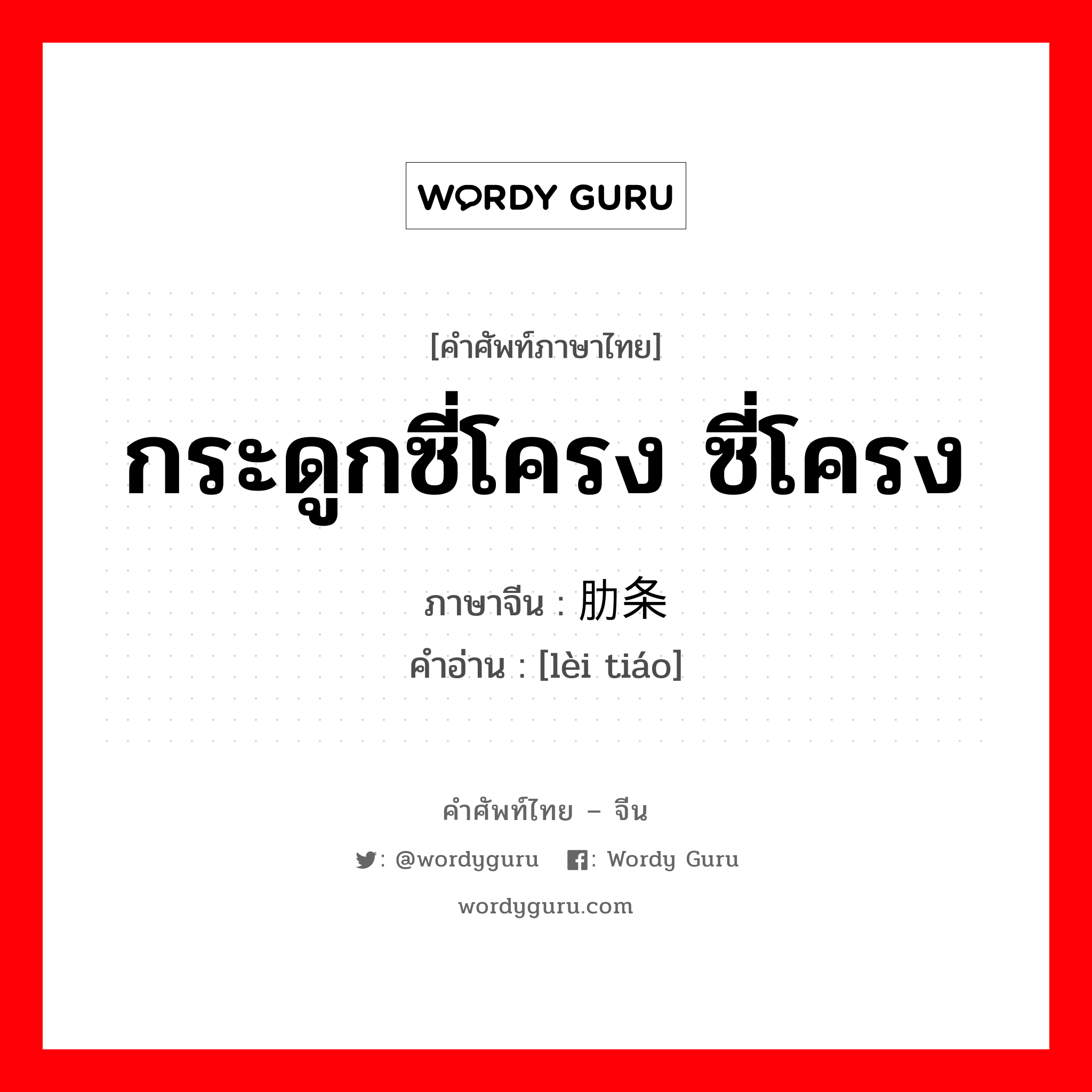 กระดูกซี่โครง ซี่โครง ภาษาจีนคืออะไร, คำศัพท์ภาษาไทย - จีน กระดูกซี่โครง ซี่โครง ภาษาจีน 肋条 คำอ่าน [lèi tiáo]