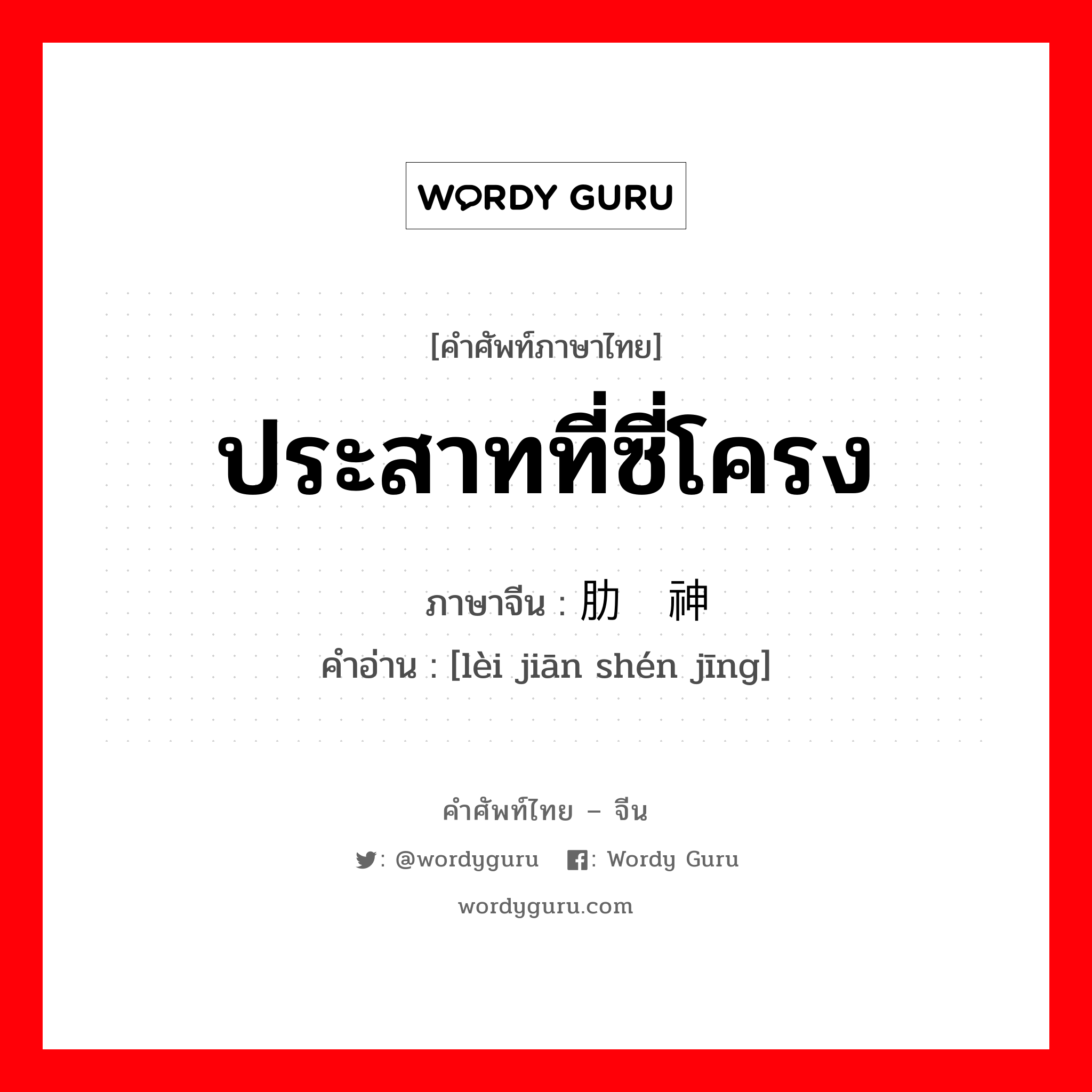 ประสาทที่ซี่โครง ภาษาจีนคืออะไร, คำศัพท์ภาษาไทย - จีน ประสาทที่ซี่โครง ภาษาจีน 肋间神经 คำอ่าน [lèi jiān shén jīng]