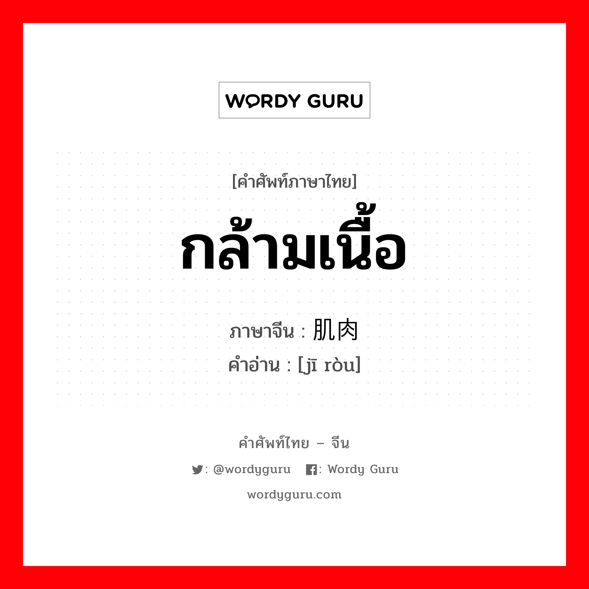 กล้ามเนื้อ ภาษาจีนคืออะไร, คำศัพท์ภาษาไทย - จีน กล้ามเนื้อ ภาษาจีน 肌肉 คำอ่าน [jī ròu]