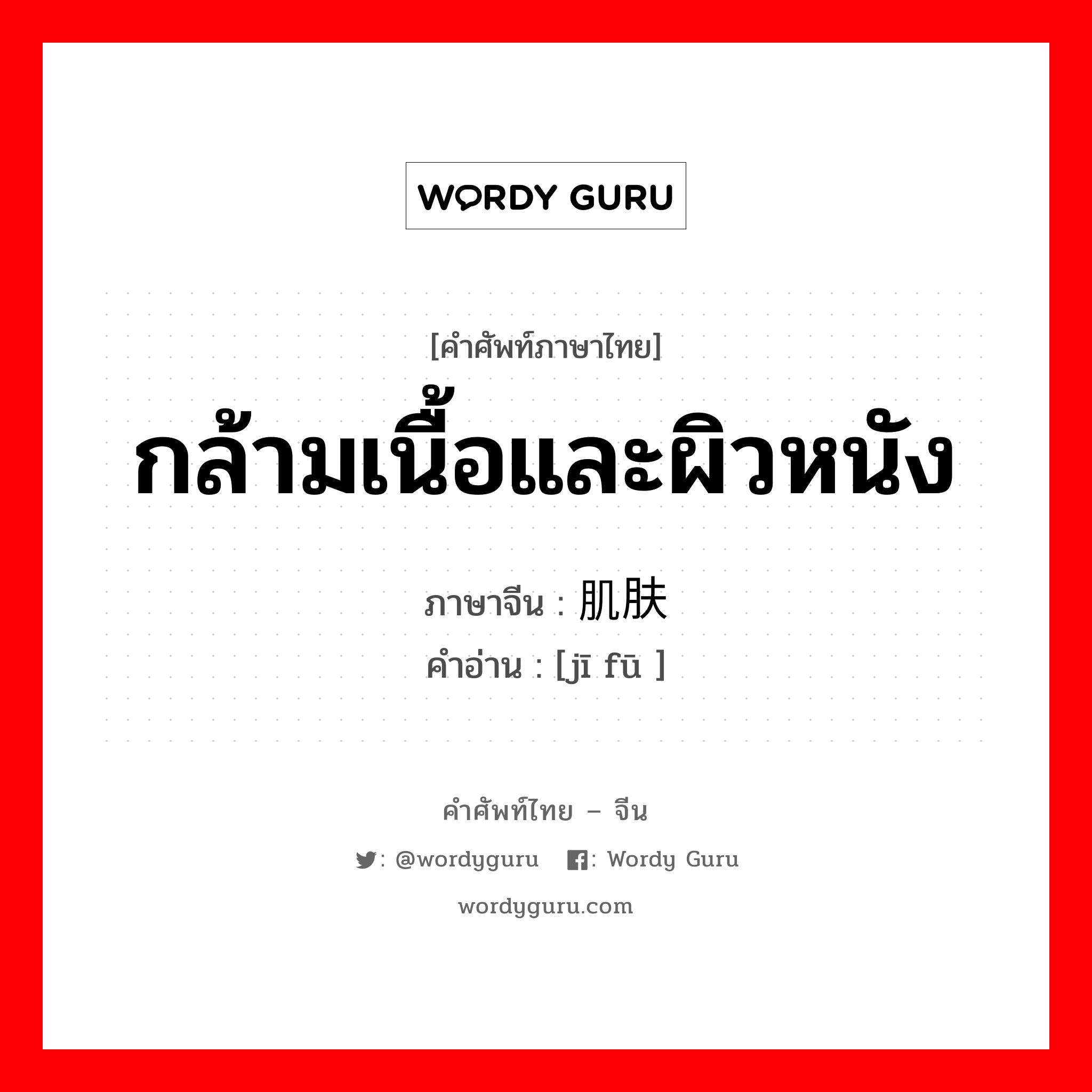 กล้ามเนื้อและผิวหนัง ภาษาจีนคืออะไร, คำศัพท์ภาษาไทย - จีน กล้ามเนื้อและผิวหนัง ภาษาจีน 肌肤 คำอ่าน [jī fū ]