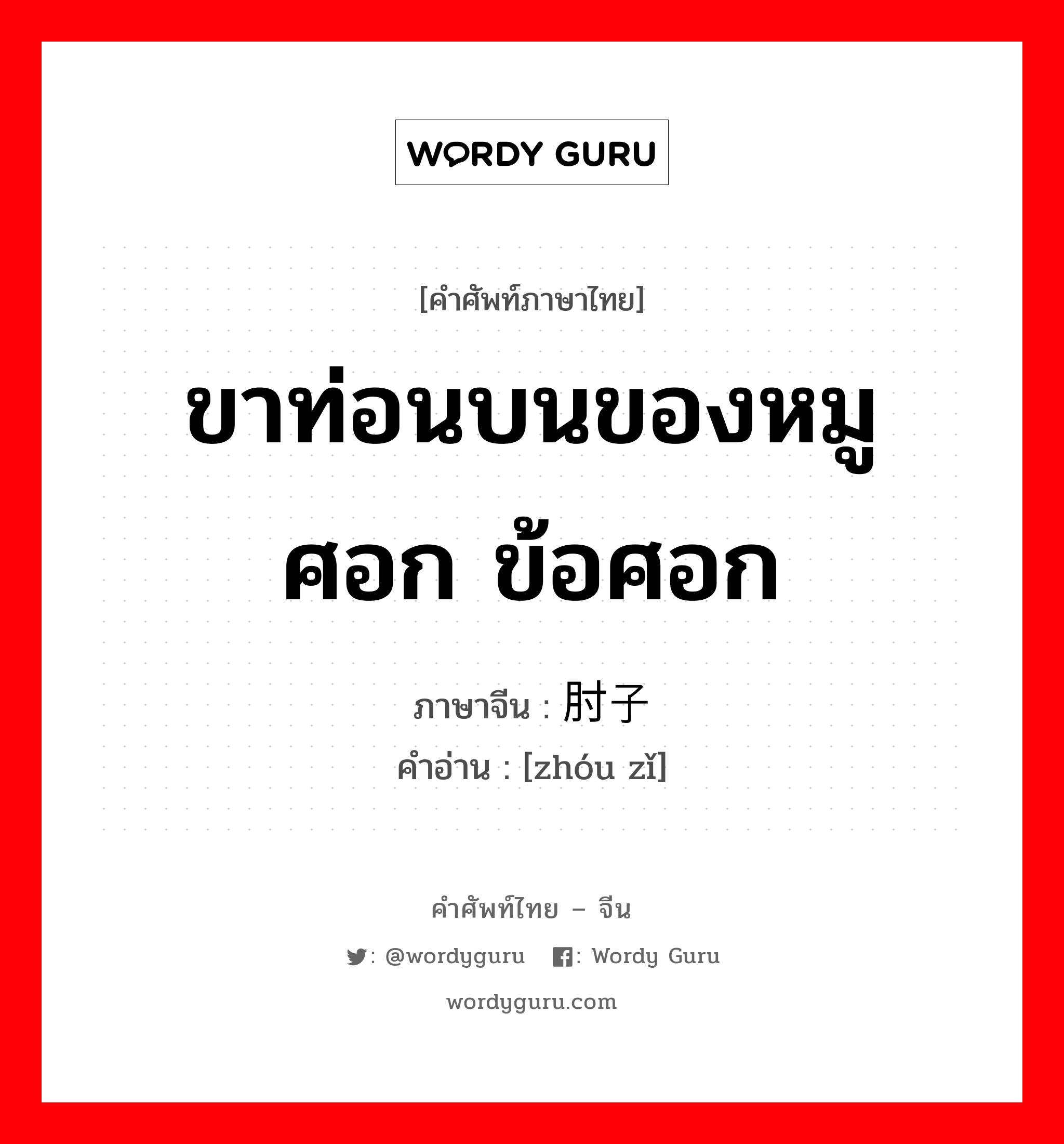 ขาท่อนบนของหมู ศอก ข้อศอก ภาษาจีนคืออะไร, คำศัพท์ภาษาไทย - จีน ขาท่อนบนของหมู ศอก ข้อศอก ภาษาจีน 肘子 คำอ่าน [zhóu zǐ]