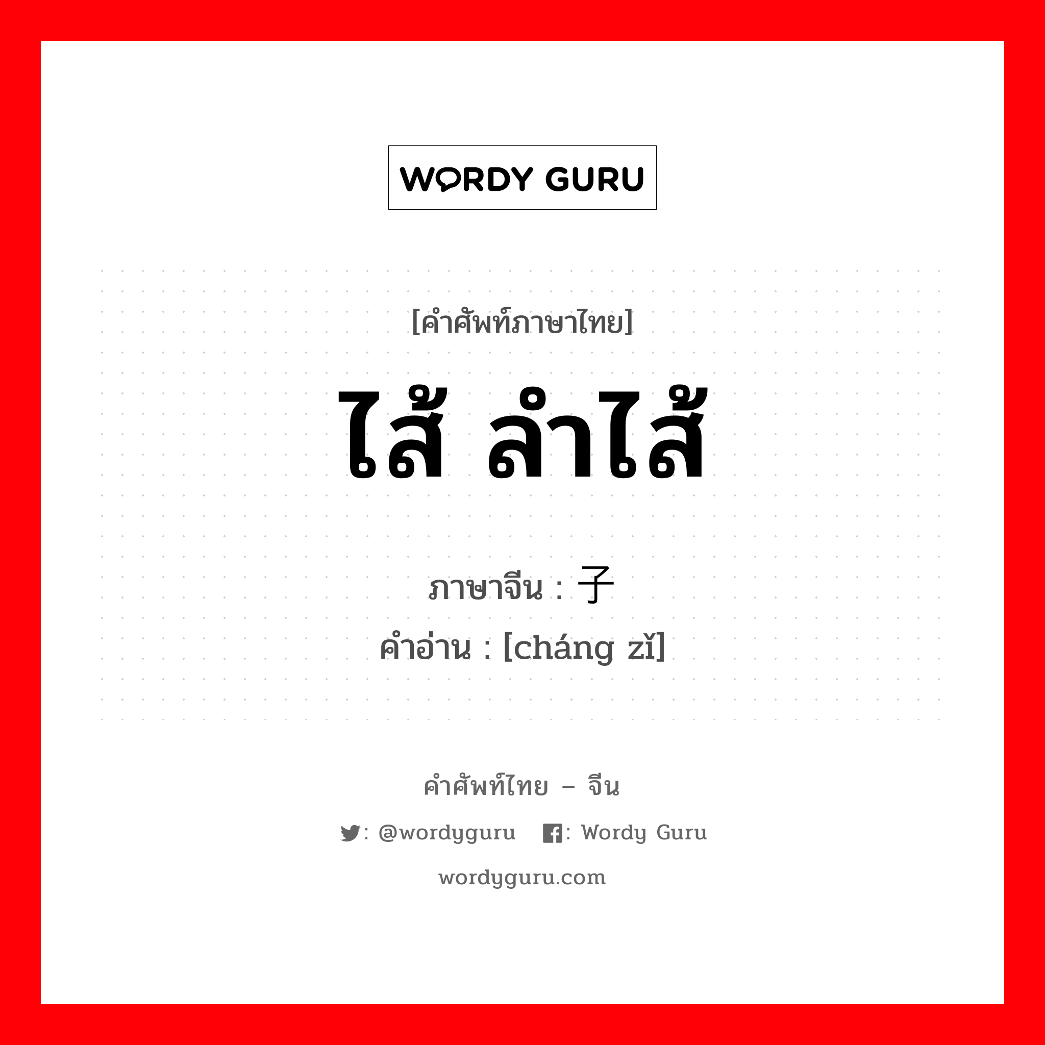 ไส้ ลำไส้ ภาษาจีนคืออะไร, คำศัพท์ภาษาไทย - จีน ไส้ ลำไส้ ภาษาจีน 肠子 คำอ่าน [cháng zǐ]