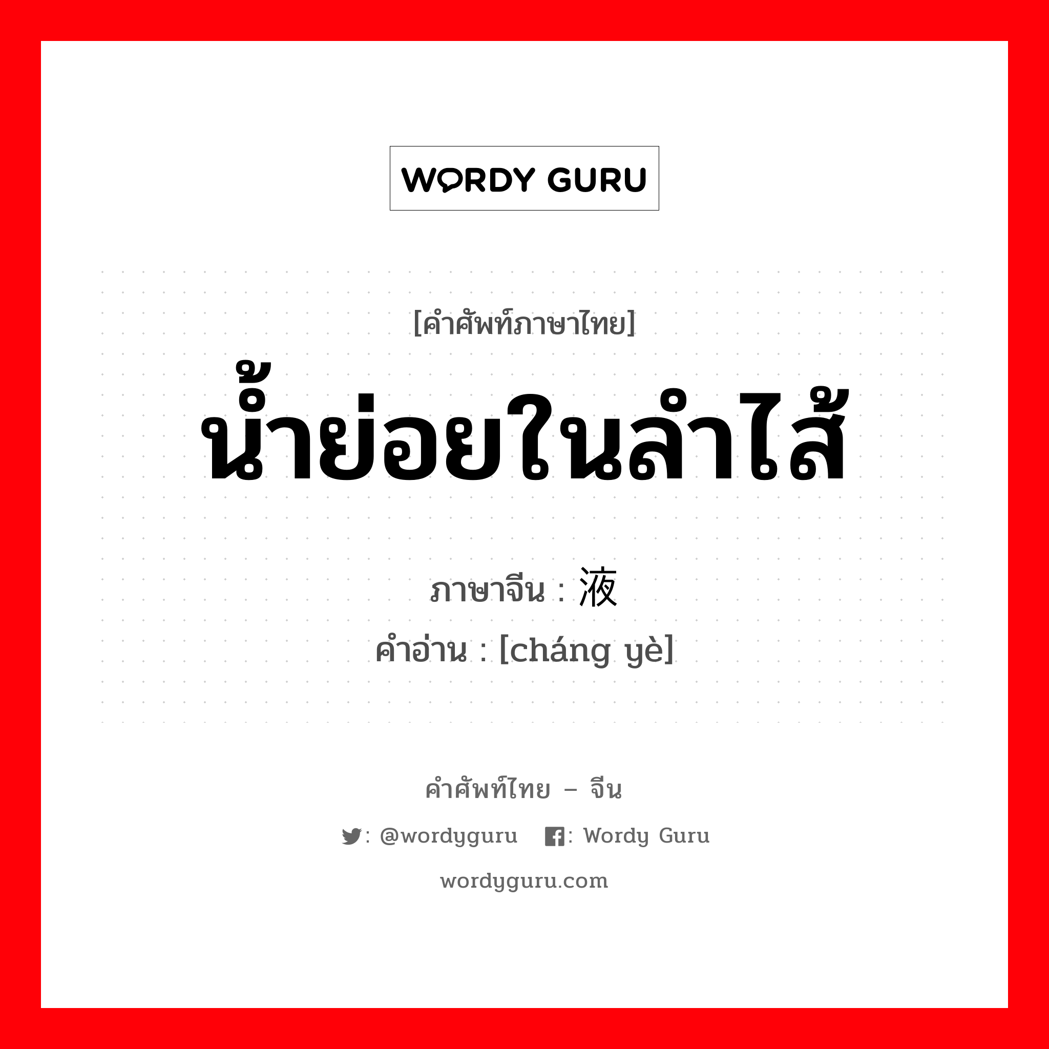 น้ำย่อยในลำไส้ ภาษาจีนคืออะไร, คำศัพท์ภาษาไทย - จีน น้ำย่อยในลำไส้ ภาษาจีน 肠液 คำอ่าน [cháng yè]