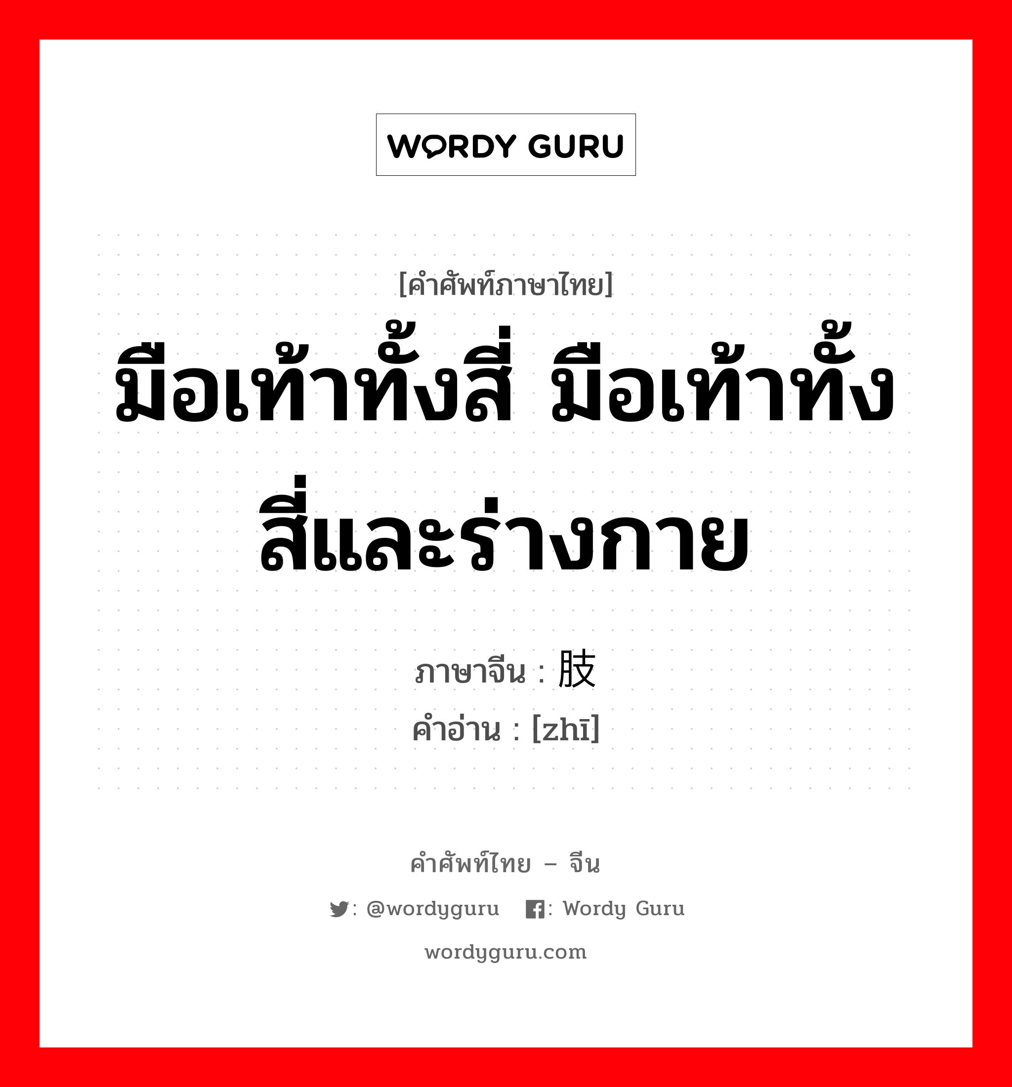 มือเท้าทั้งสี่ มือเท้าทั้งสี่และร่างกาย ภาษาจีนคืออะไร, คำศัพท์ภาษาไทย - จีน มือเท้าทั้งสี่ มือเท้าทั้งสี่และร่างกาย ภาษาจีน 肢 คำอ่าน [zhī]