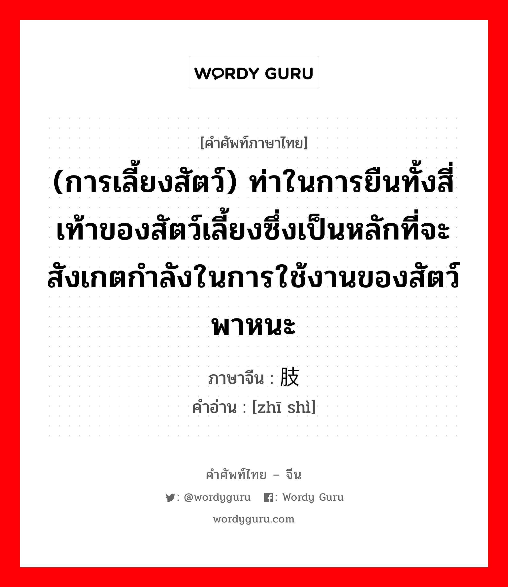 (การเลี้ยงสัตว์) ท่าในการยืนทั้งสี่เท้าของสัตว์เลี้ยงซึ่งเป็นหลักที่จะสังเกตกำลังในการใช้งานของสัตว์พาหนะ ภาษาจีนคืออะไร, คำศัพท์ภาษาไทย - จีน (การเลี้ยงสัตว์) ท่าในการยืนทั้งสี่เท้าของสัตว์เลี้ยงซึ่งเป็นหลักที่จะสังเกตกำลังในการใช้งานของสัตว์พาหนะ ภาษาจีน 肢势 คำอ่าน [zhī shì]