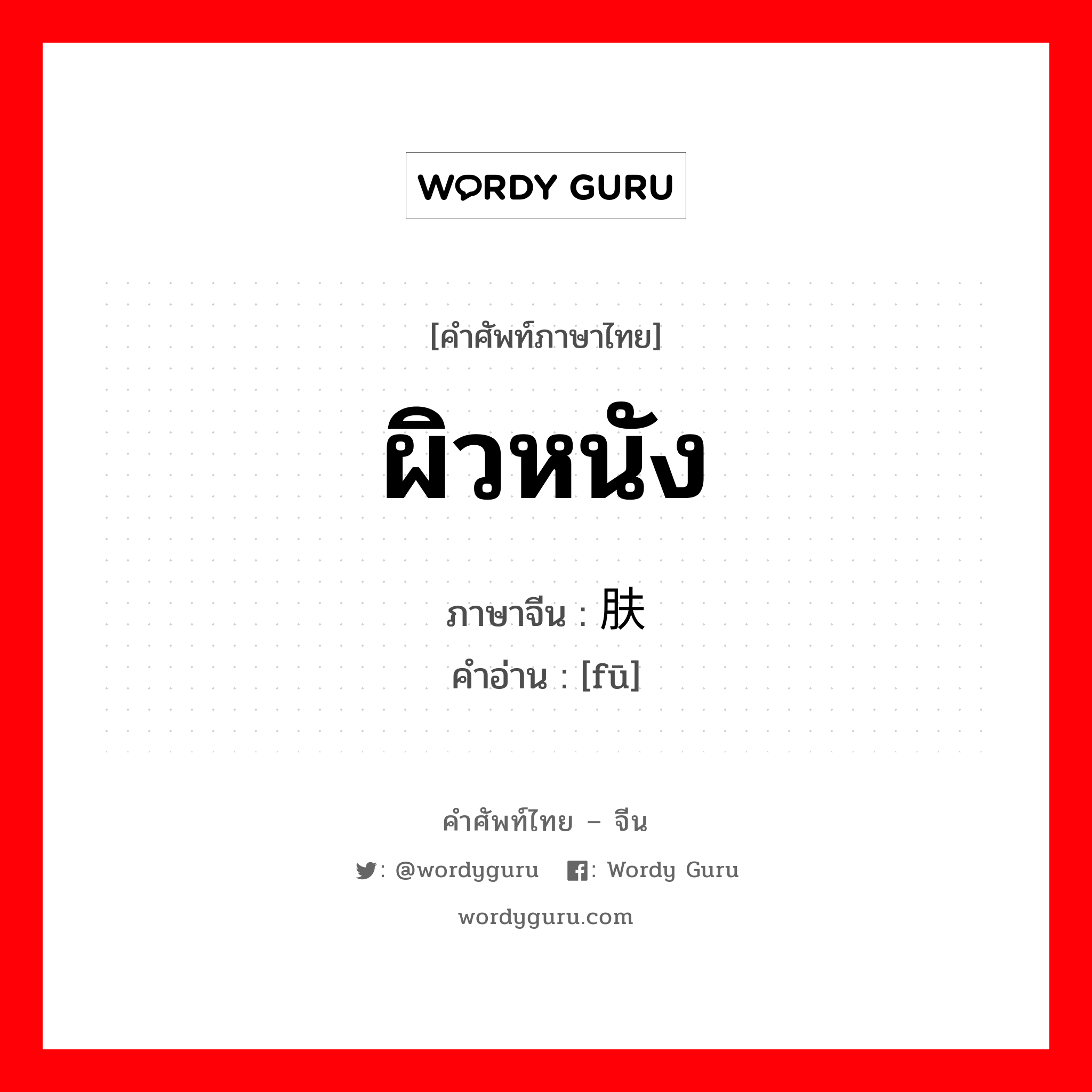 ผิวหนัง ภาษาจีนคืออะไร, คำศัพท์ภาษาไทย - จีน ผิวหนัง ภาษาจีน 肤 คำอ่าน [fū]