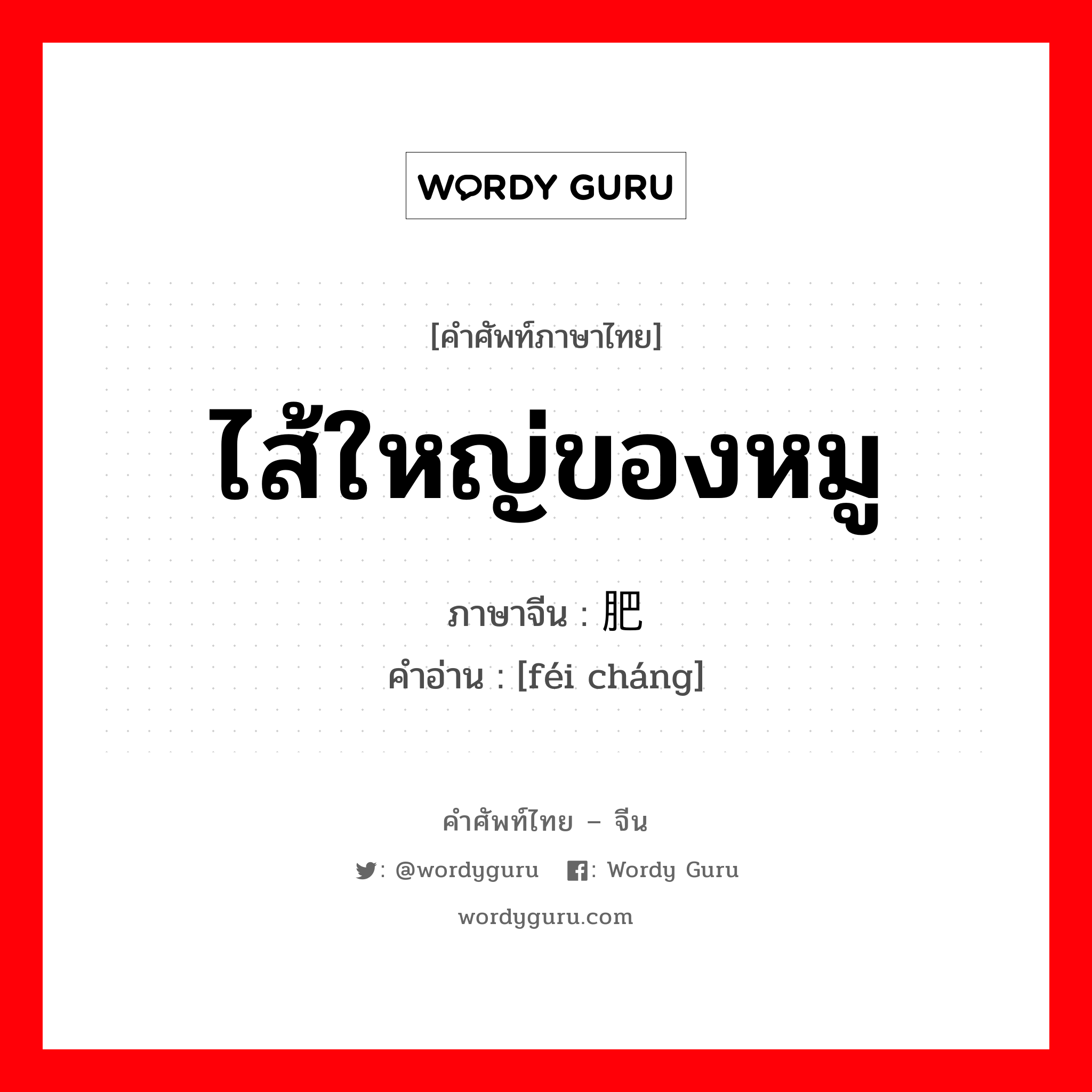 ไส้ใหญ่ของหมู ภาษาจีนคืออะไร, คำศัพท์ภาษาไทย - จีน ไส้ใหญ่ของหมู ภาษาจีน 肥肠 คำอ่าน [féi cháng]