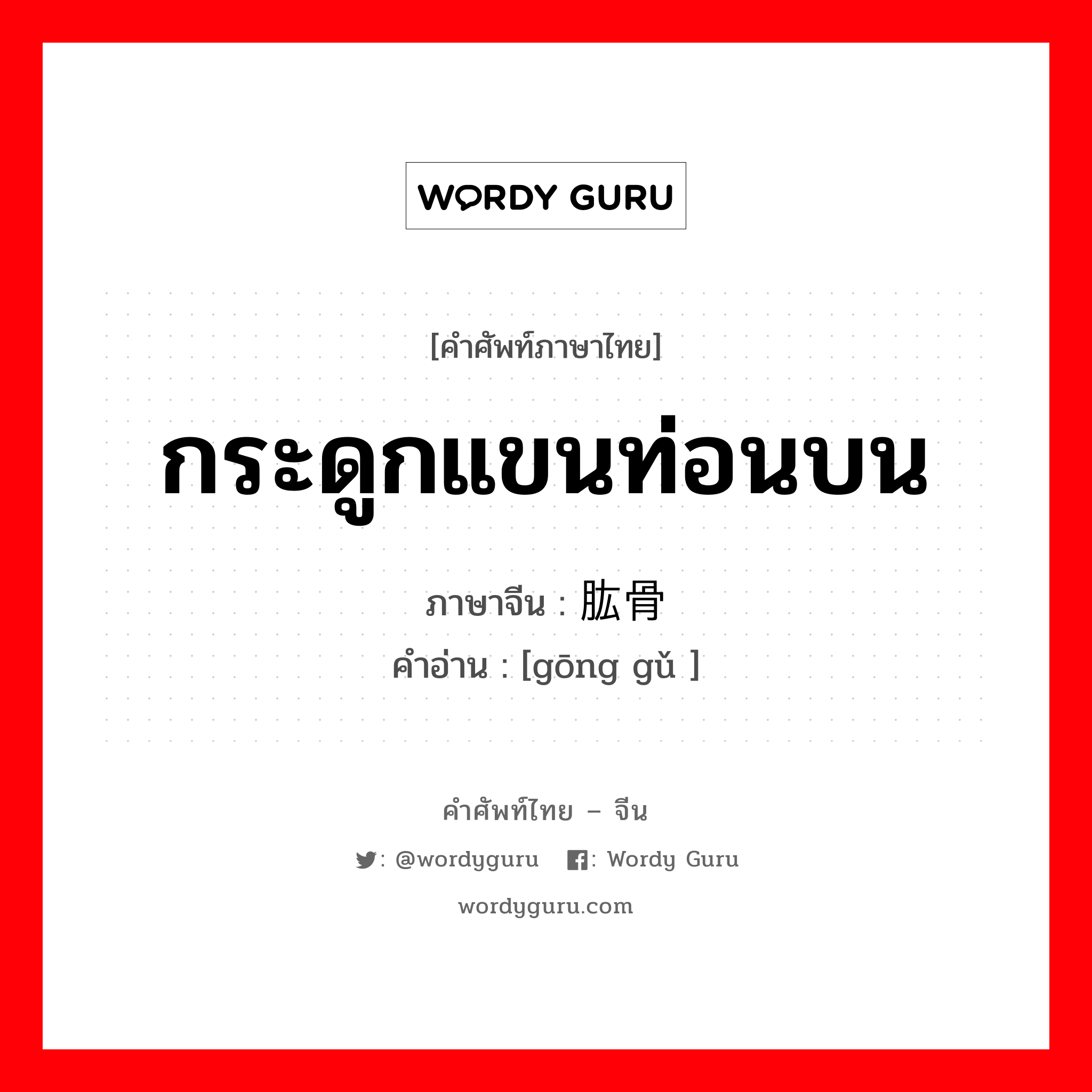 กระดูกแขนท่อนบน ภาษาจีนคืออะไร, คำศัพท์ภาษาไทย - จีน กระดูกแขนท่อนบน ภาษาจีน 肱骨 คำอ่าน [gōng gǔ ]