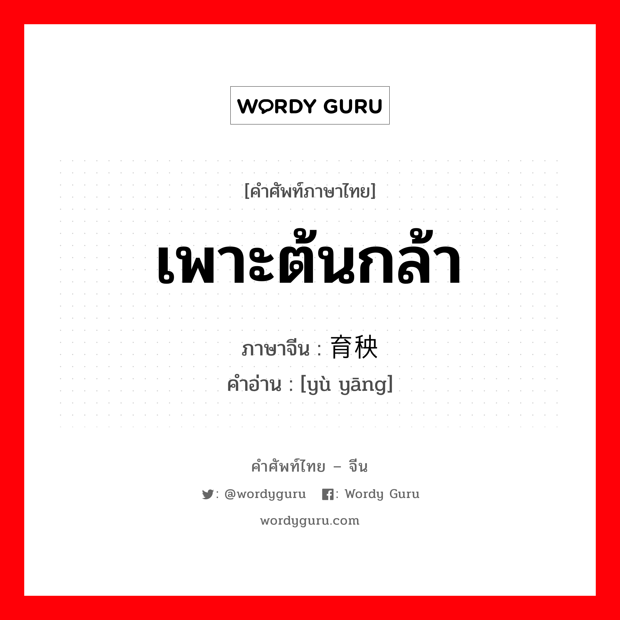 เพาะต้นกล้า ภาษาจีนคืออะไร, คำศัพท์ภาษาไทย - จีน เพาะต้นกล้า ภาษาจีน 育秧 คำอ่าน [yù yāng]