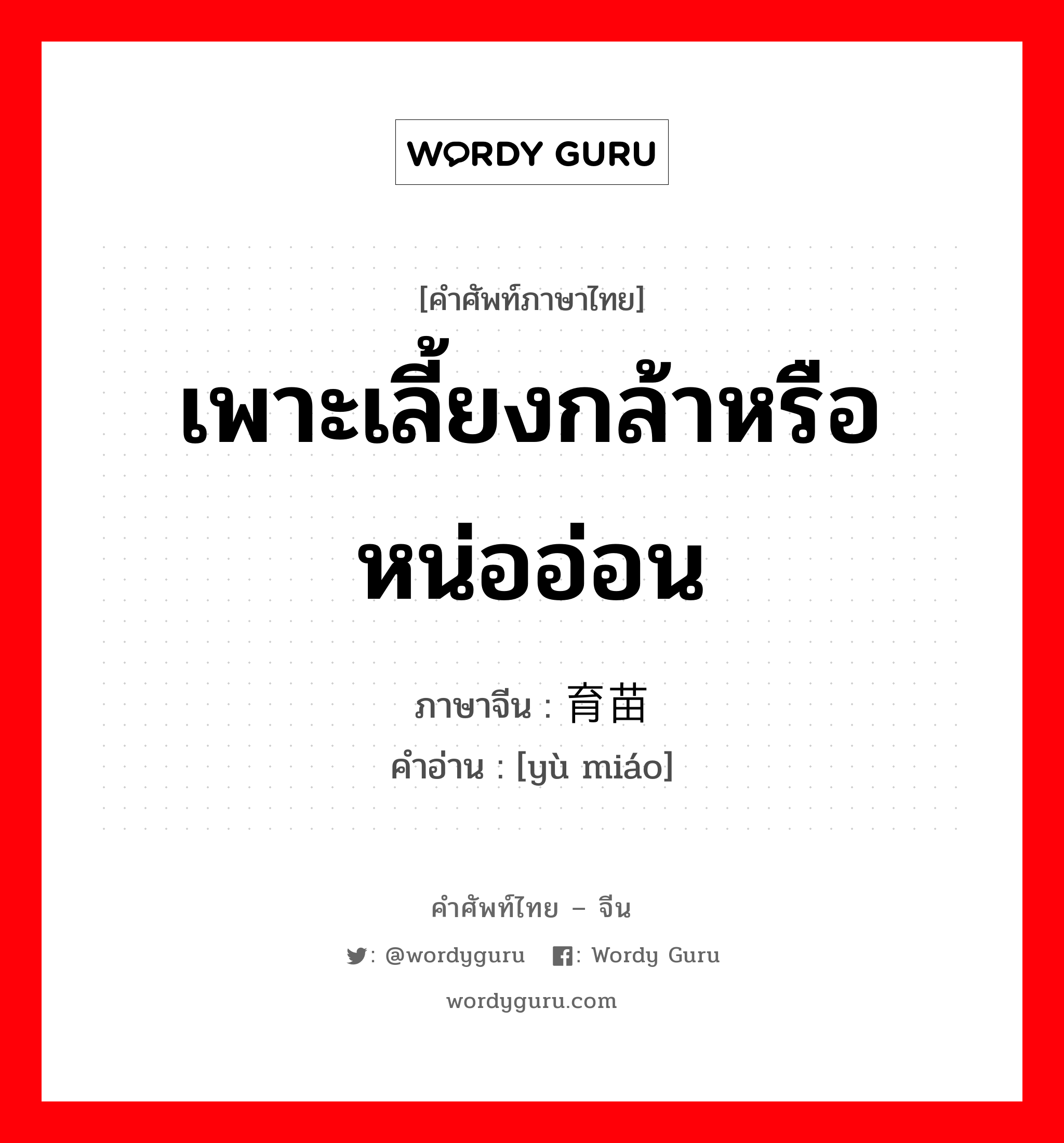 เพาะเลี้ยงกล้าหรือหน่ออ่อน ภาษาจีนคืออะไร, คำศัพท์ภาษาไทย - จีน เพาะเลี้ยงกล้าหรือหน่ออ่อน ภาษาจีน 育苗 คำอ่าน [yù miáo]