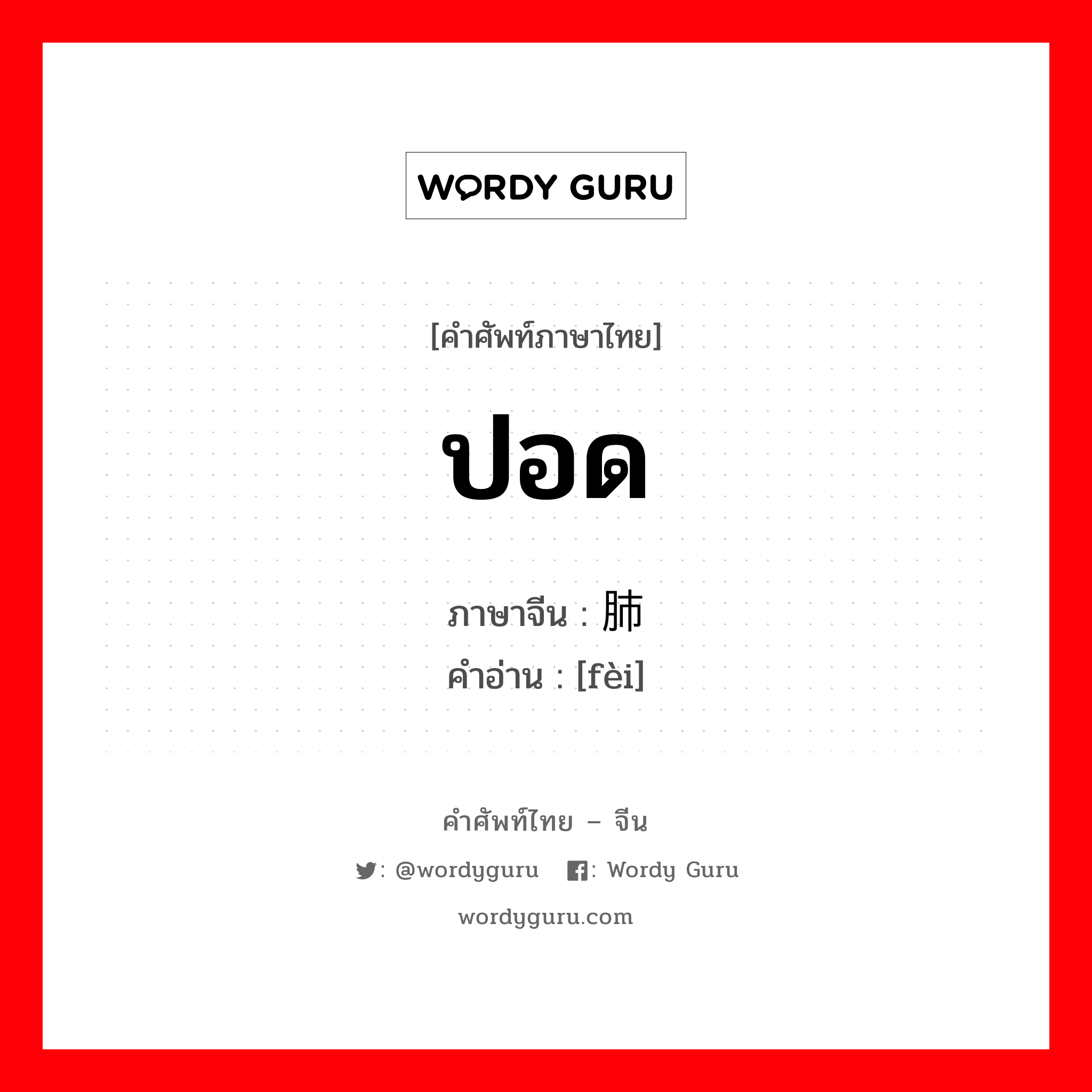 ปอด ภาษาจีนคืออะไร, คำศัพท์ภาษาไทย - จีน ปอด ภาษาจีน 肺 คำอ่าน [fèi]