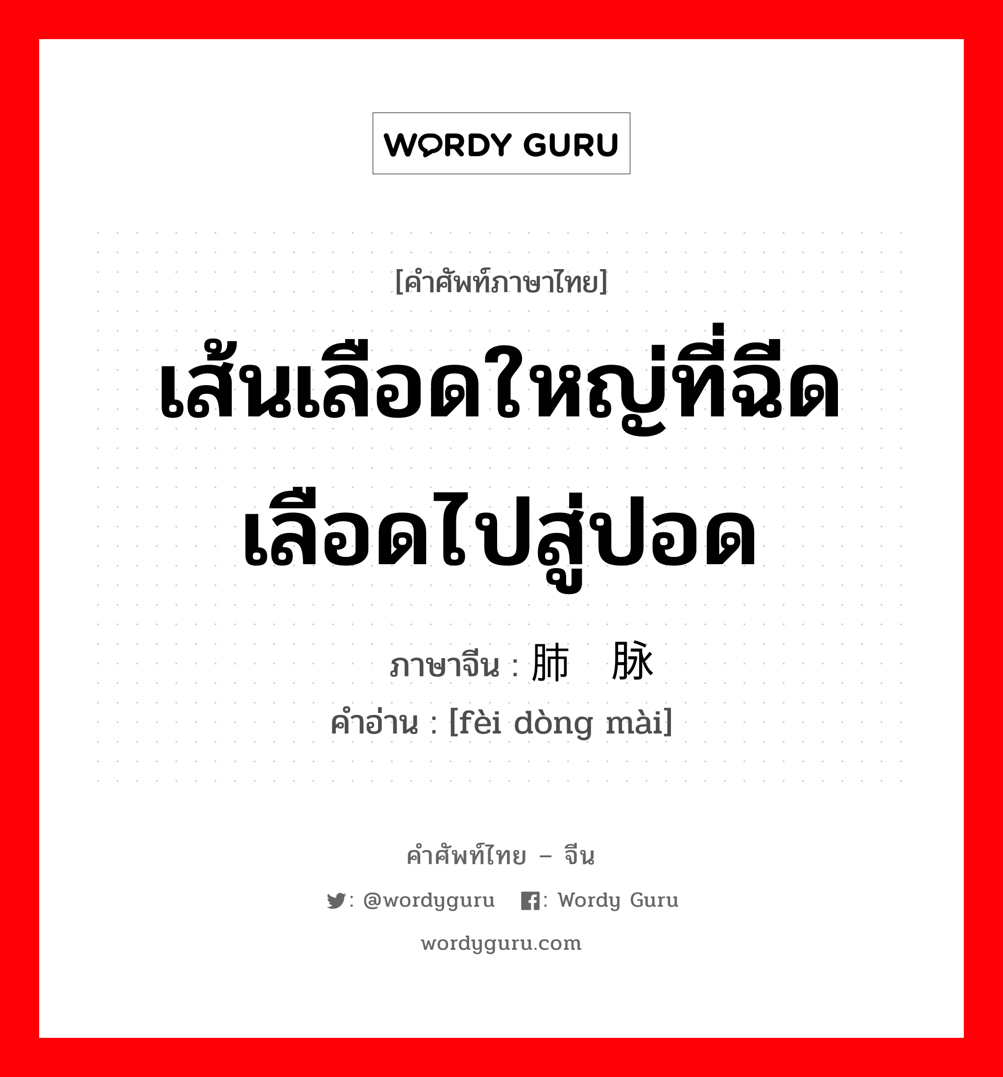 เส้นเลือดใหญ่ที่ฉีดเลือดไปสู่ปอด ภาษาจีนคืออะไร, คำศัพท์ภาษาไทย - จีน เส้นเลือดใหญ่ที่ฉีดเลือดไปสู่ปอด ภาษาจีน 肺动脉 คำอ่าน [fèi dòng mài]