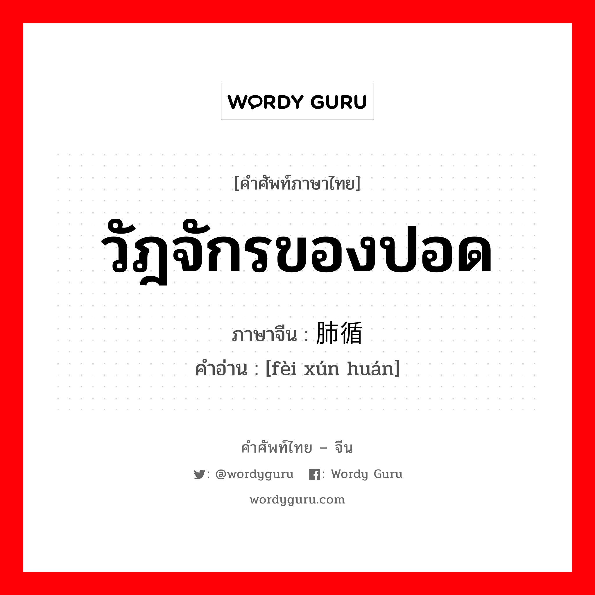 วัฎจักรของปอด ภาษาจีนคืออะไร, คำศัพท์ภาษาไทย - จีน วัฎจักรของปอด ภาษาจีน 肺循环 คำอ่าน [fèi xún huán]