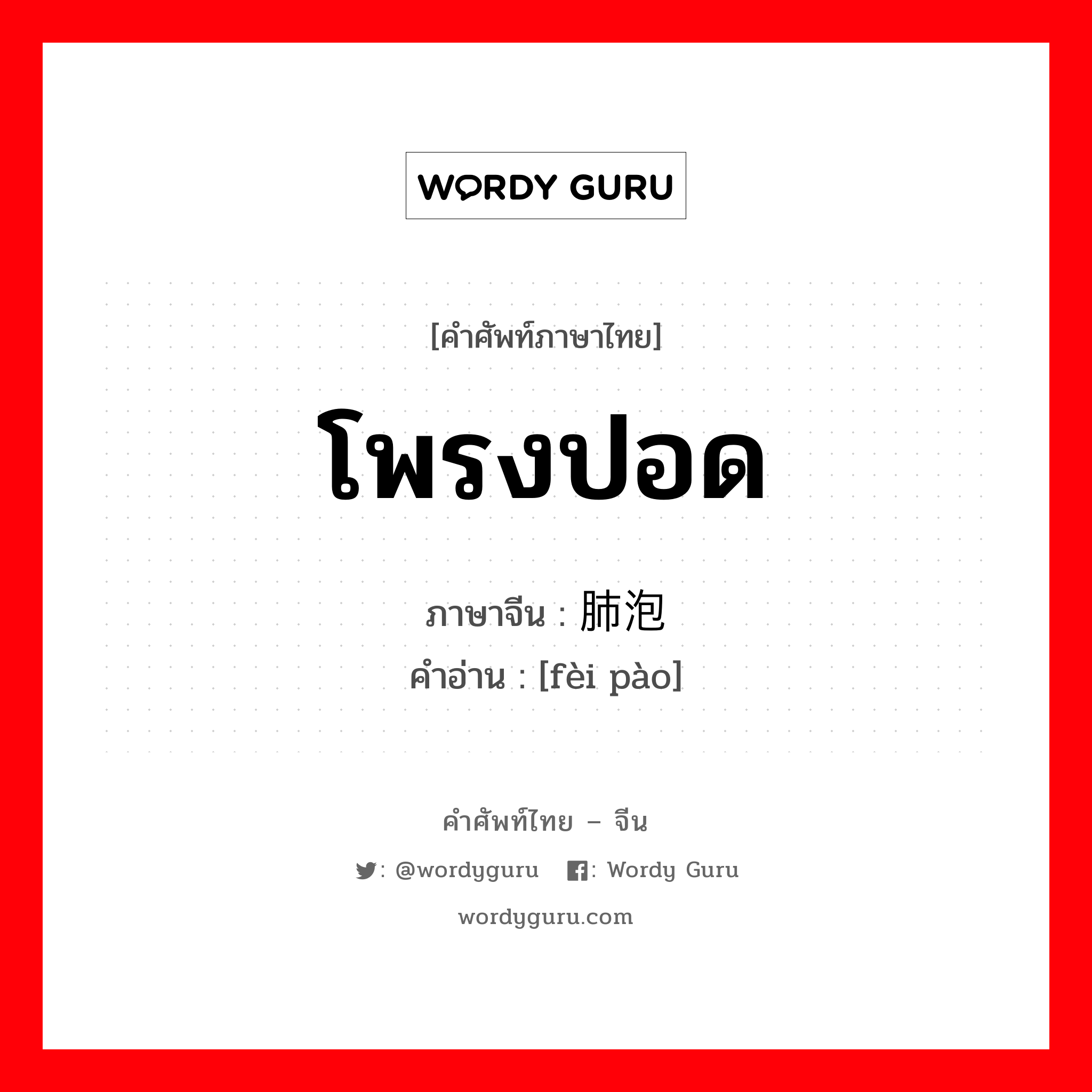 โพรงปอด ภาษาจีนคืออะไร, คำศัพท์ภาษาไทย - จีน โพรงปอด ภาษาจีน 肺泡 คำอ่าน [fèi pào]