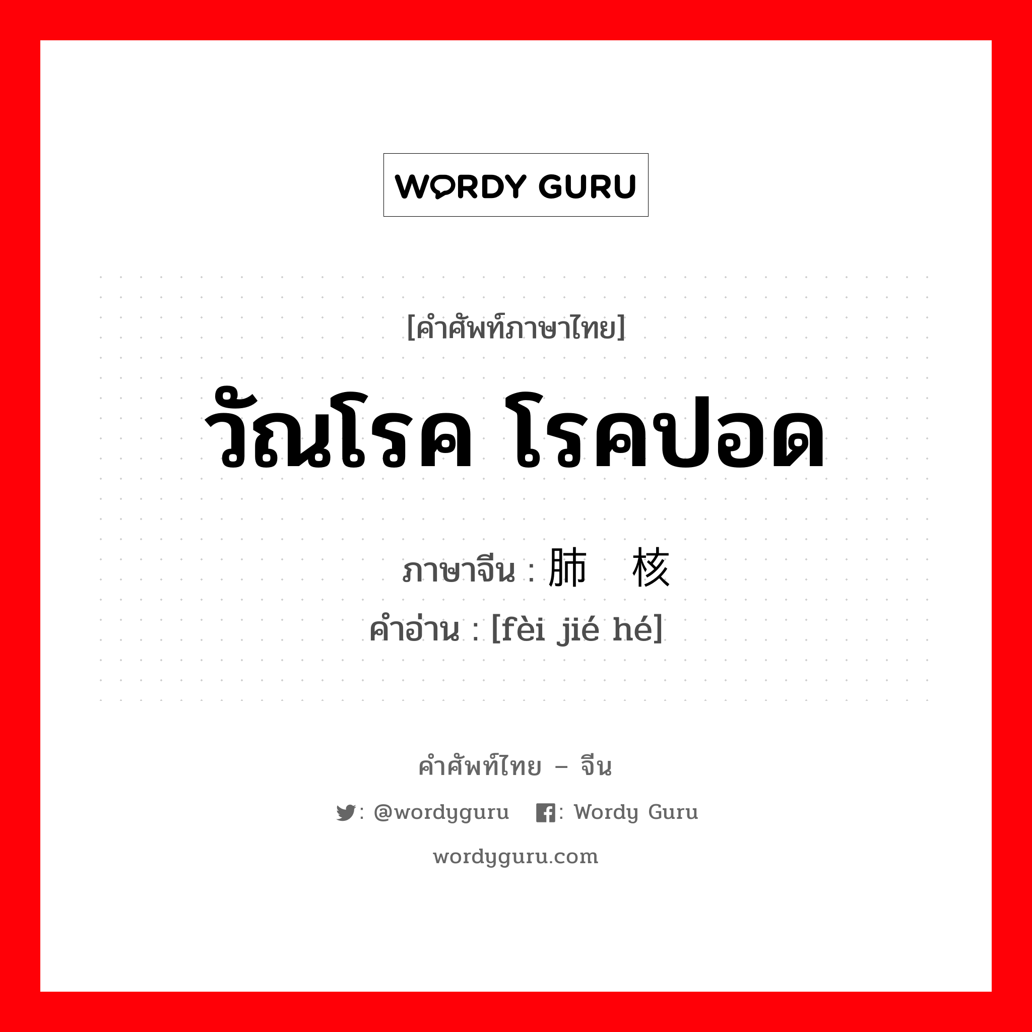 วัณโรค โรคปอด ภาษาจีนคืออะไร, คำศัพท์ภาษาไทย - จีน วัณโรค โรคปอด ภาษาจีน 肺结核 คำอ่าน [fèi jié hé]