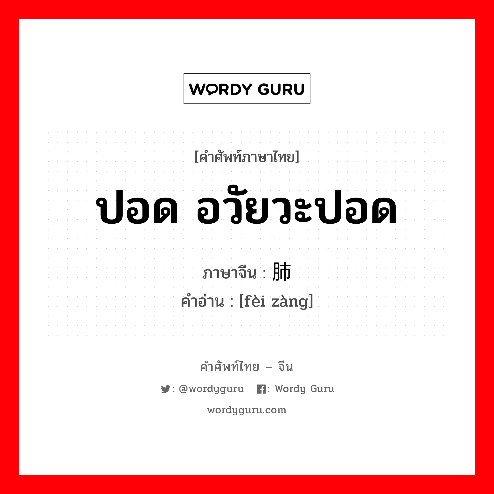 ปอด อวัยวะปอด ภาษาจีนคืออะไร, คำศัพท์ภาษาไทย - จีน ปอด อวัยวะปอด ภาษาจีน 肺脏 คำอ่าน [fèi zàng]