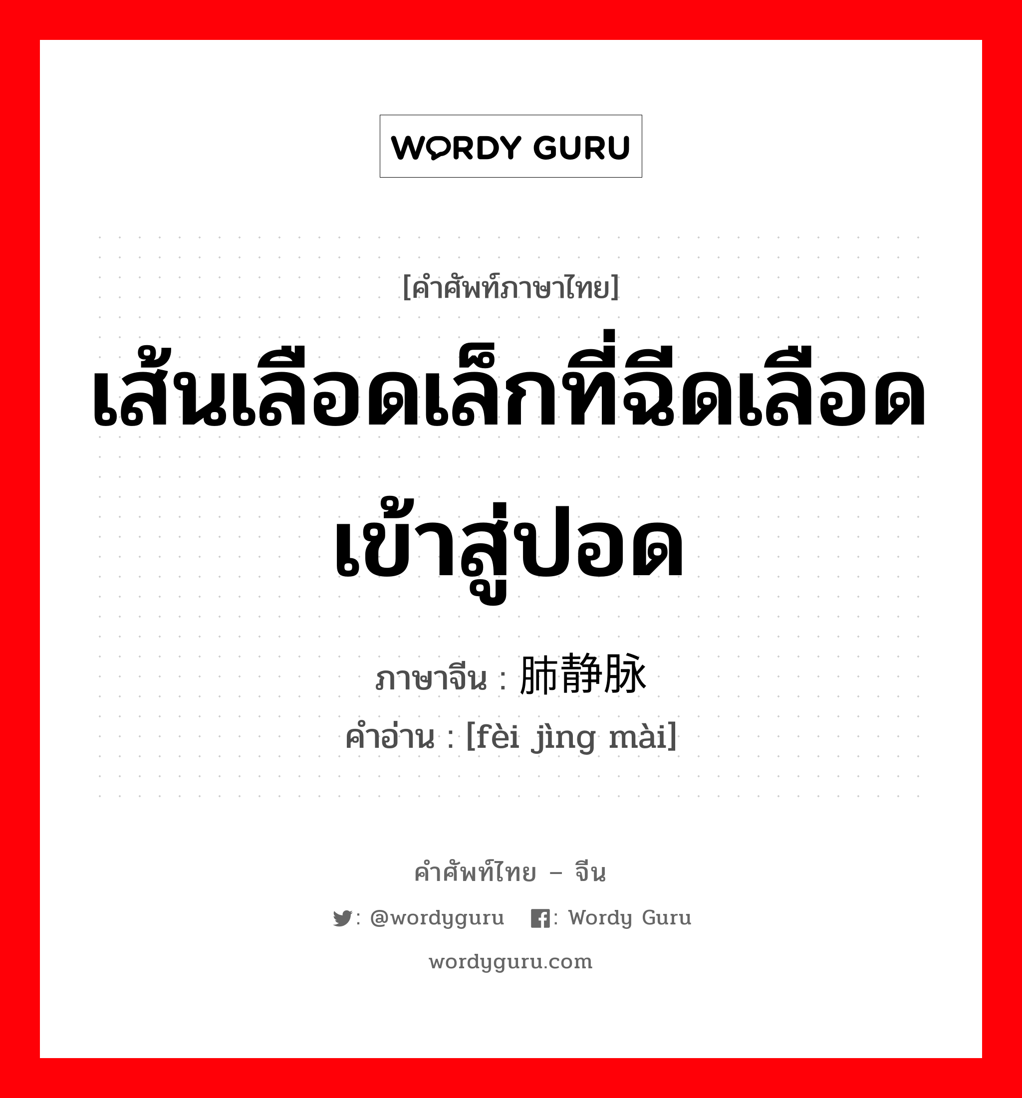 เส้นเลือดเล็กที่ฉีดเลือดเข้าสู่ปอด ภาษาจีนคืออะไร, คำศัพท์ภาษาไทย - จีน เส้นเลือดเล็กที่ฉีดเลือดเข้าสู่ปอด ภาษาจีน 肺静脉 คำอ่าน [fèi jìng mài]