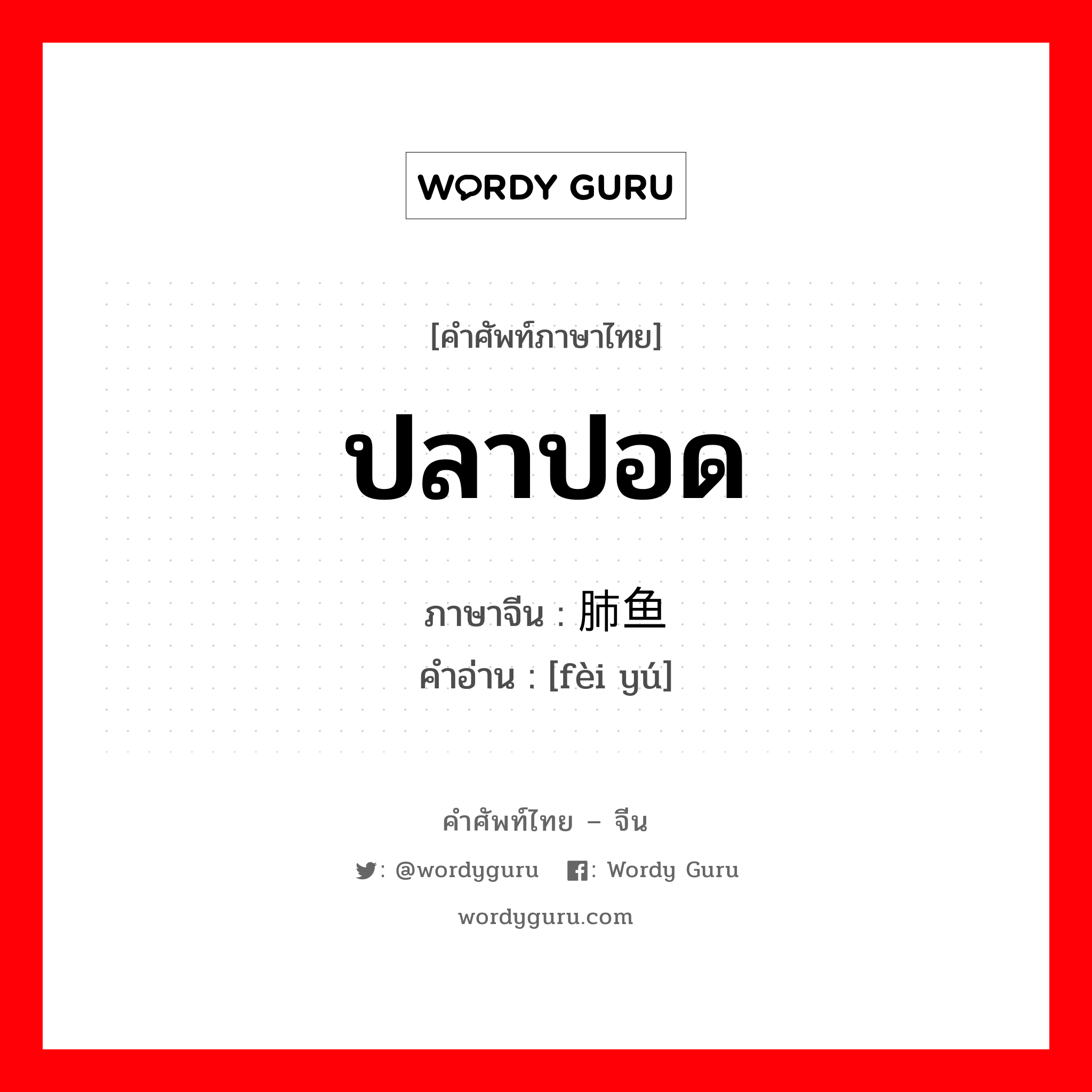 ปลาปอด ภาษาจีนคืออะไร, คำศัพท์ภาษาไทย - จีน ปลาปอด ภาษาจีน 肺鱼 คำอ่าน [fèi yú]