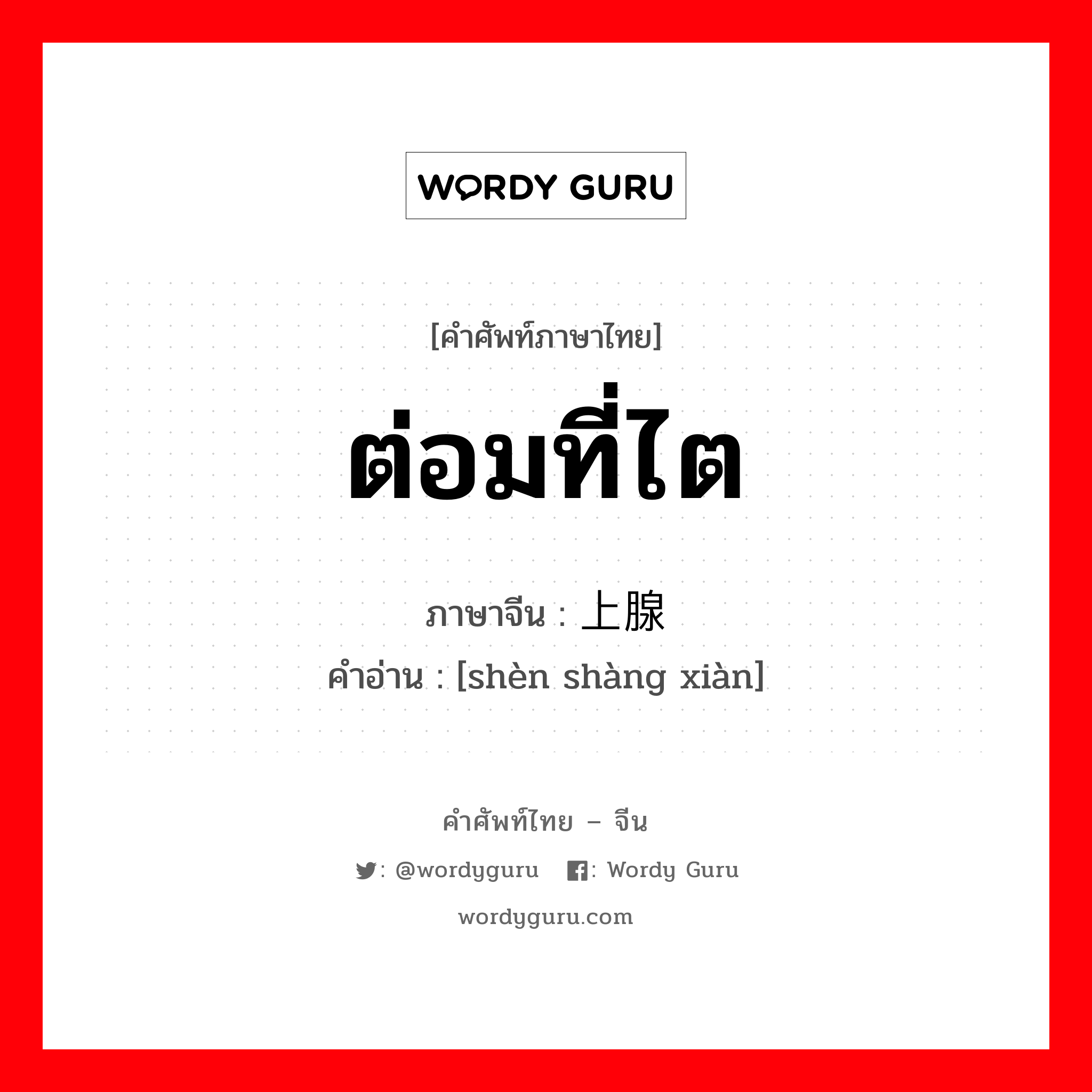 ต่อมที่ไต ภาษาจีนคืออะไร, คำศัพท์ภาษาไทย - จีน ต่อมที่ไต ภาษาจีน 肾上腺 คำอ่าน [shèn shàng xiàn]