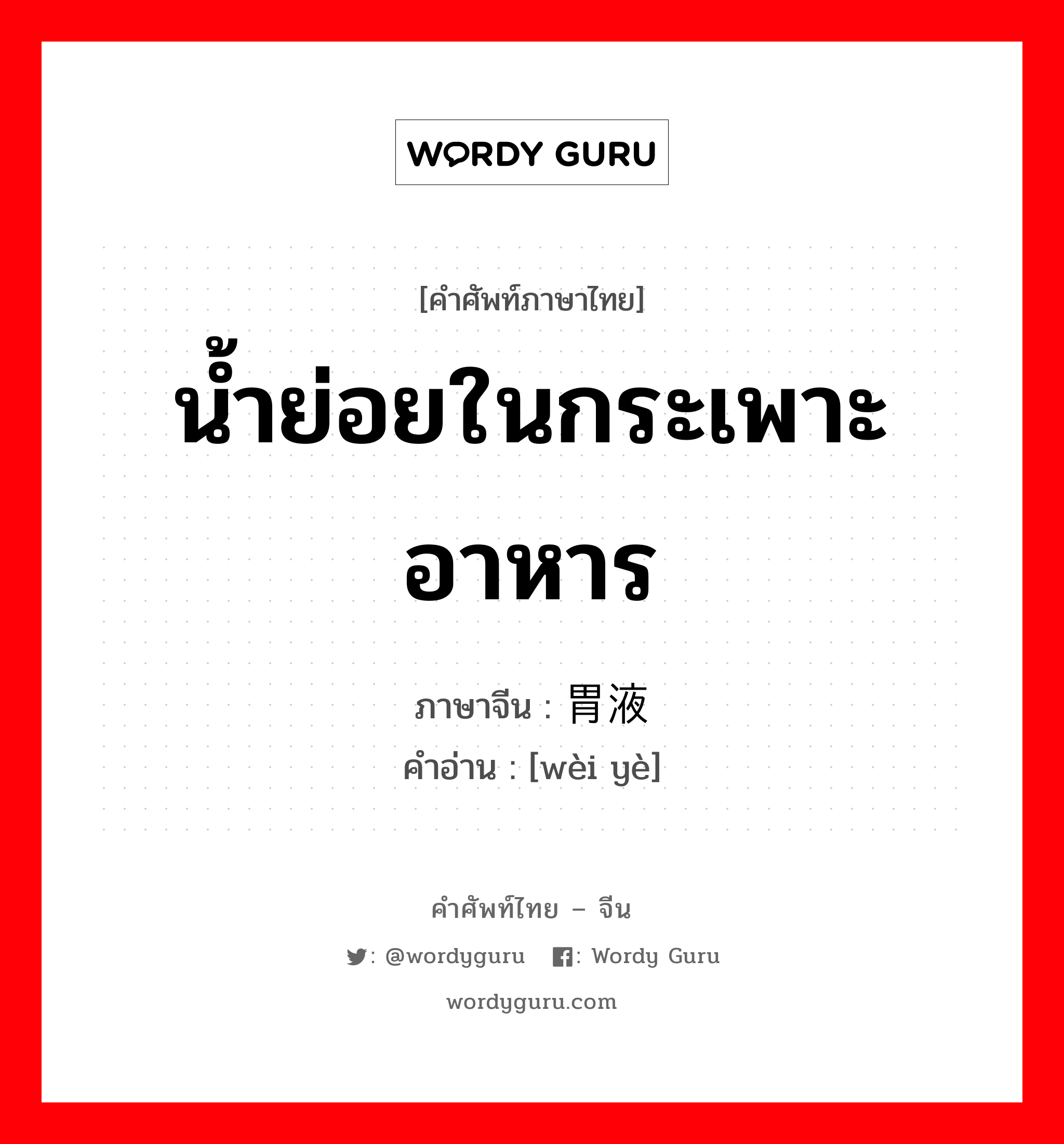 น้ำย่อยในกระเพาะอาหาร ภาษาจีนคืออะไร, คำศัพท์ภาษาไทย - จีน น้ำย่อยในกระเพาะอาหาร ภาษาจีน 胃液 คำอ่าน [wèi yè]