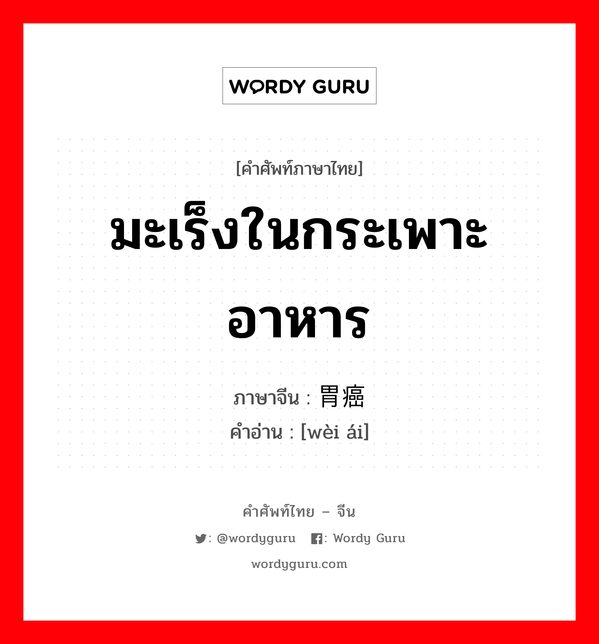 มะเร็งในกระเพาะอาหาร ภาษาจีนคืออะไร, คำศัพท์ภาษาไทย - จีน มะเร็งในกระเพาะอาหาร ภาษาจีน 胃癌 คำอ่าน [wèi ái]