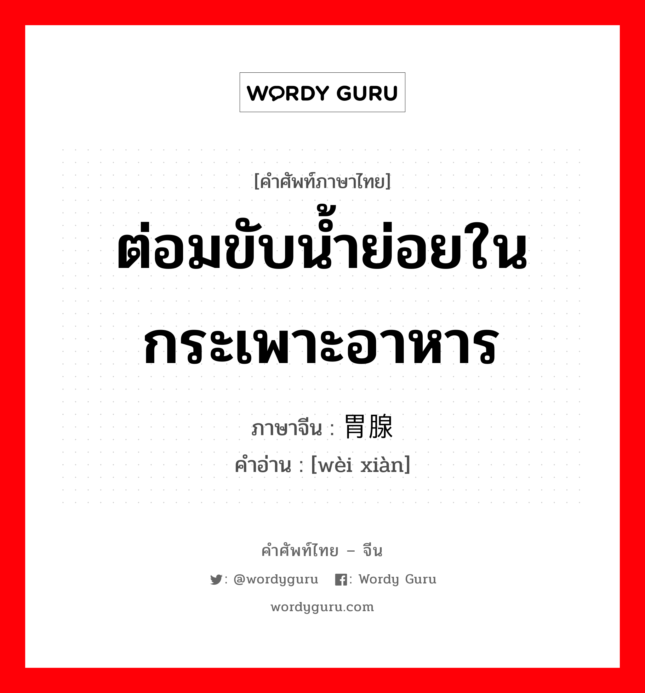 ต่อมขับน้ำย่อยในกระเพาะอาหาร ภาษาจีนคืออะไร, คำศัพท์ภาษาไทย - จีน ต่อมขับน้ำย่อยในกระเพาะอาหาร ภาษาจีน 胃腺 คำอ่าน [wèi xiàn]