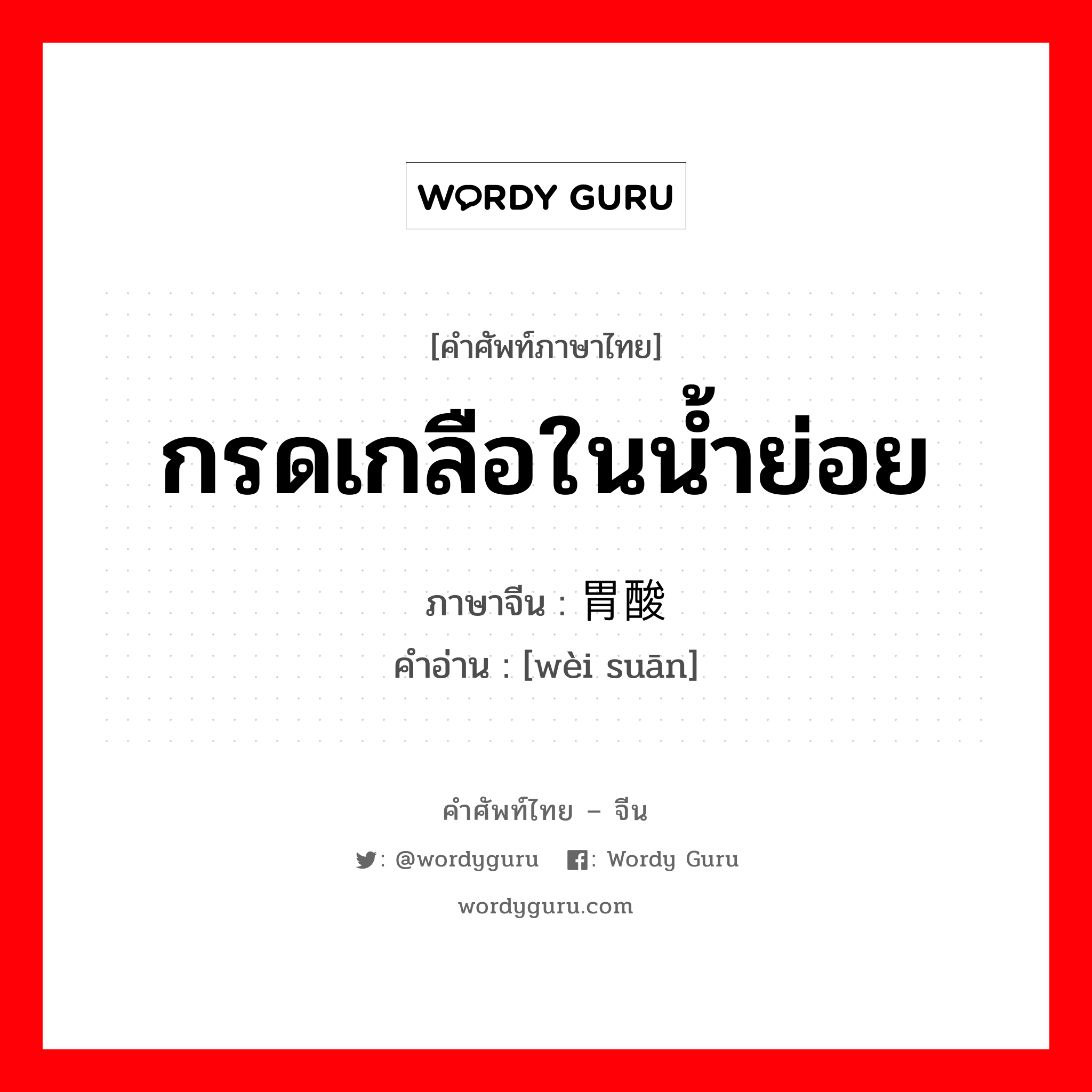 กรดเกลือในน้ำย่อย ภาษาจีนคืออะไร, คำศัพท์ภาษาไทย - จีน กรดเกลือในน้ำย่อย ภาษาจีน 胃酸 คำอ่าน [wèi suān]