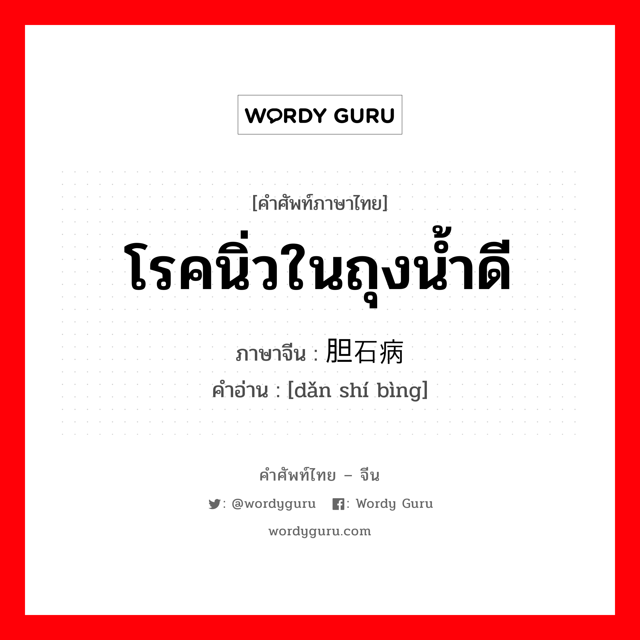 โรคนิ่วในถุงน้ำดี ภาษาจีนคืออะไร, คำศัพท์ภาษาไทย - จีน โรคนิ่วในถุงน้ำดี ภาษาจีน 胆石病 คำอ่าน [dǎn shí bìng]