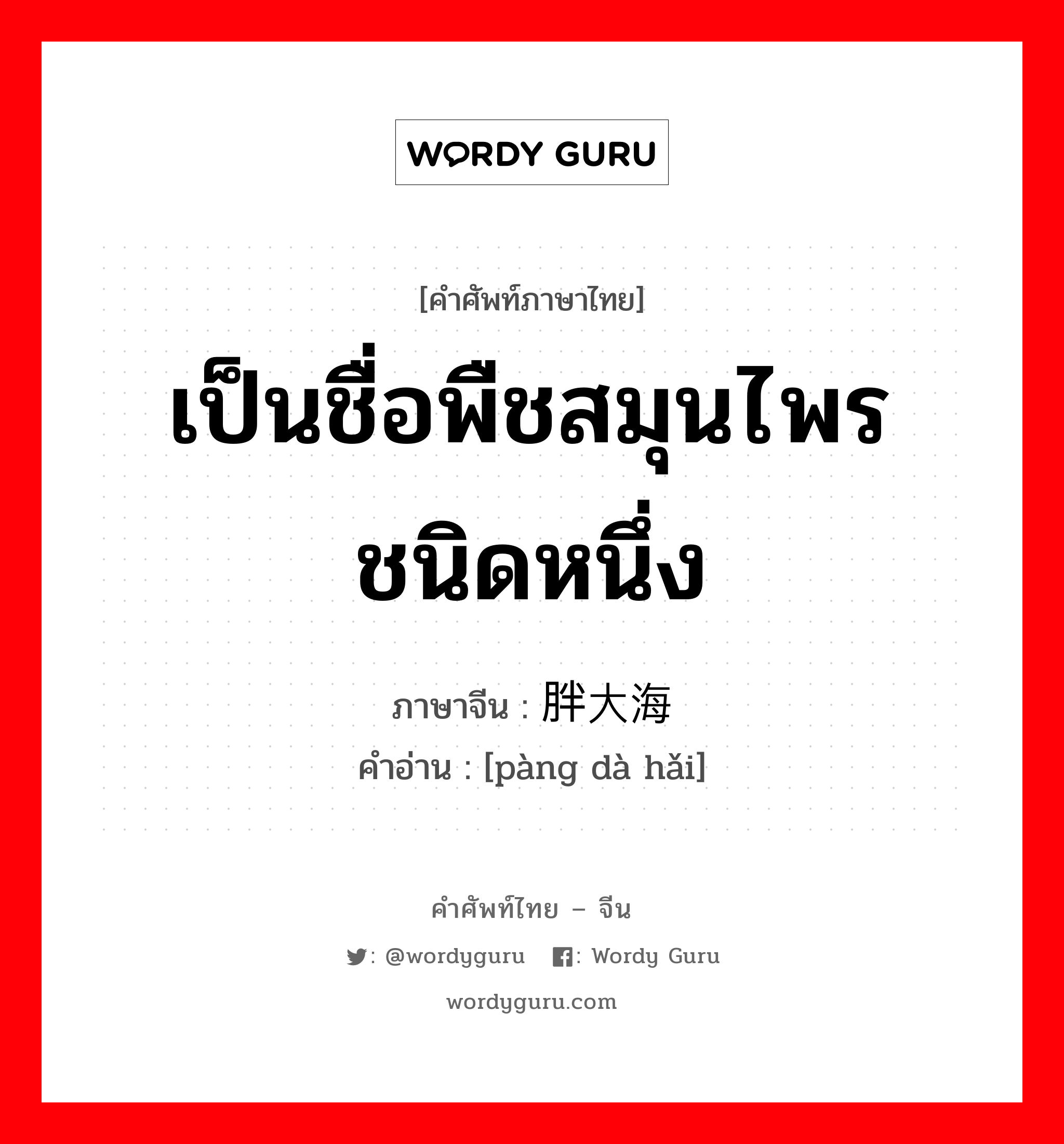 เป็นชื่อพืชสมุนไพรชนิดหนึ่ง ภาษาจีนคืออะไร, คำศัพท์ภาษาไทย - จีน เป็นชื่อพืชสมุนไพรชนิดหนึ่ง ภาษาจีน 胖大海 คำอ่าน [pàng dà hǎi]