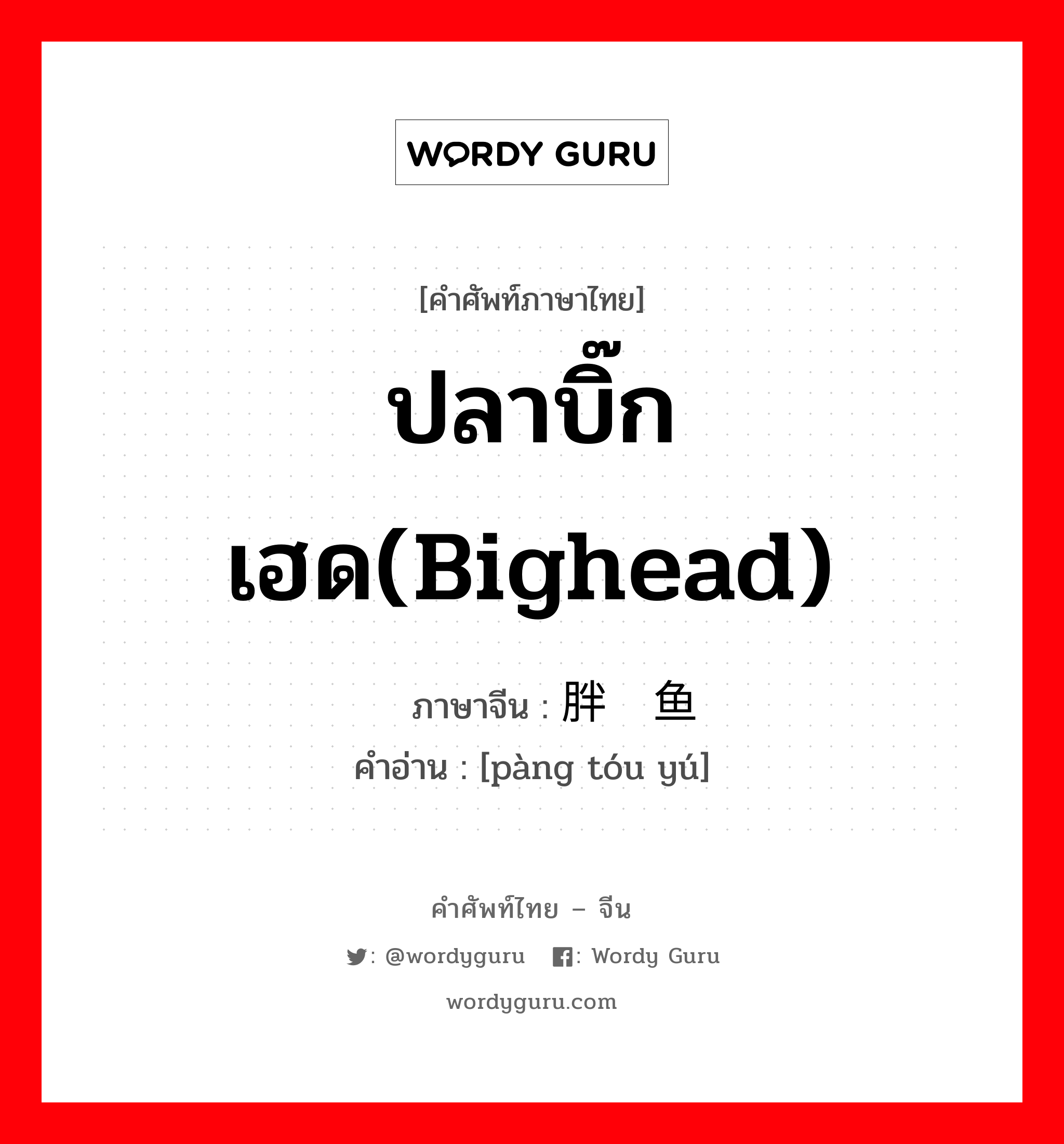 ปลาบิ๊กเฮด(bighead) ภาษาจีนคืออะไร, คำศัพท์ภาษาไทย - จีน ปลาบิ๊กเฮด(bighead) ภาษาจีน 胖头鱼 คำอ่าน [pàng tóu yú]