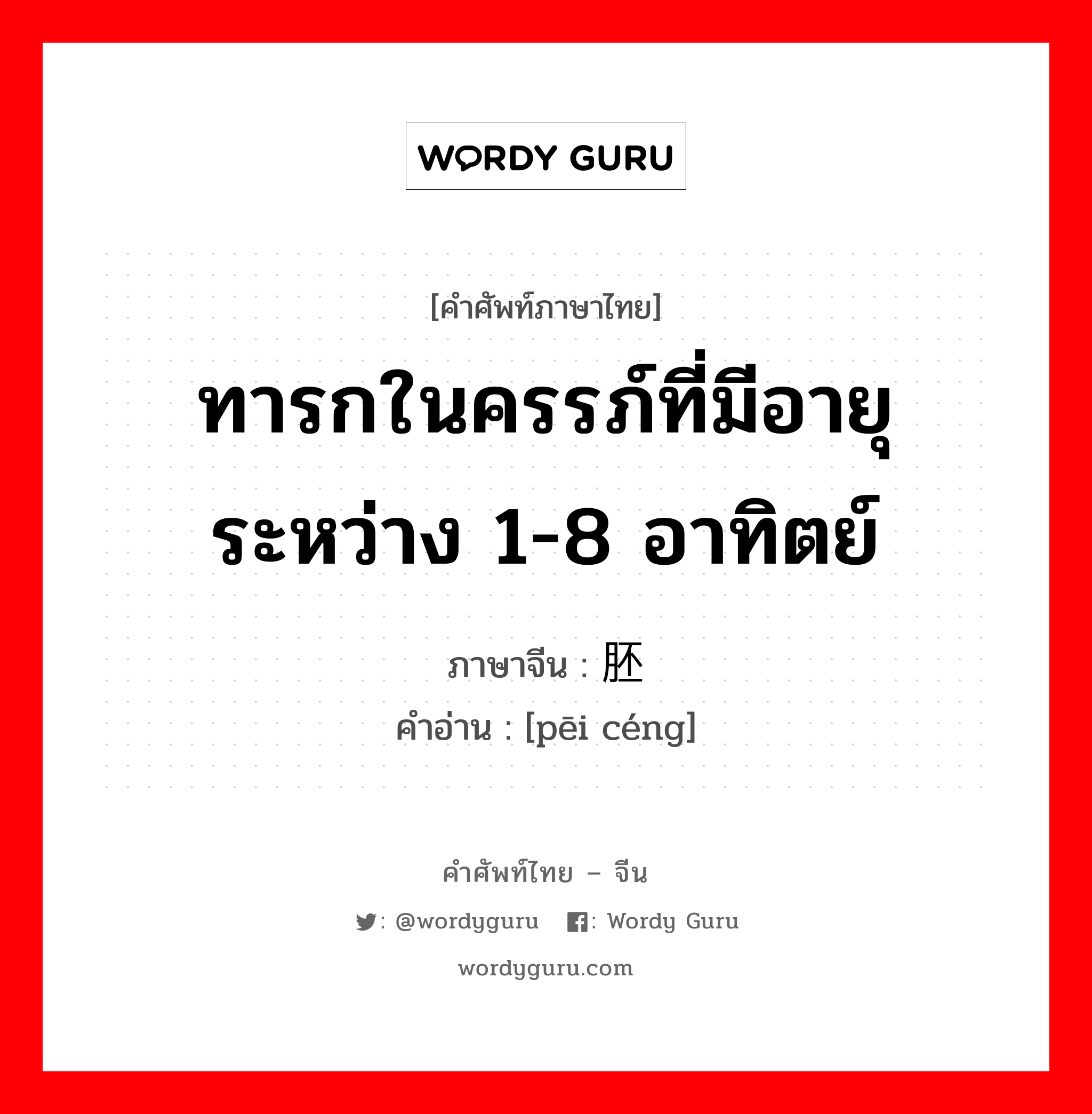 ทารกในครรภ์ที่มีอายุระหว่าง 1-8 อาทิตย์ ภาษาจีนคืออะไร, คำศัพท์ภาษาไทย - จีน ทารกในครรภ์ที่มีอายุระหว่าง 1-8 อาทิตย์ ภาษาจีน 胚层 คำอ่าน [pēi céng]