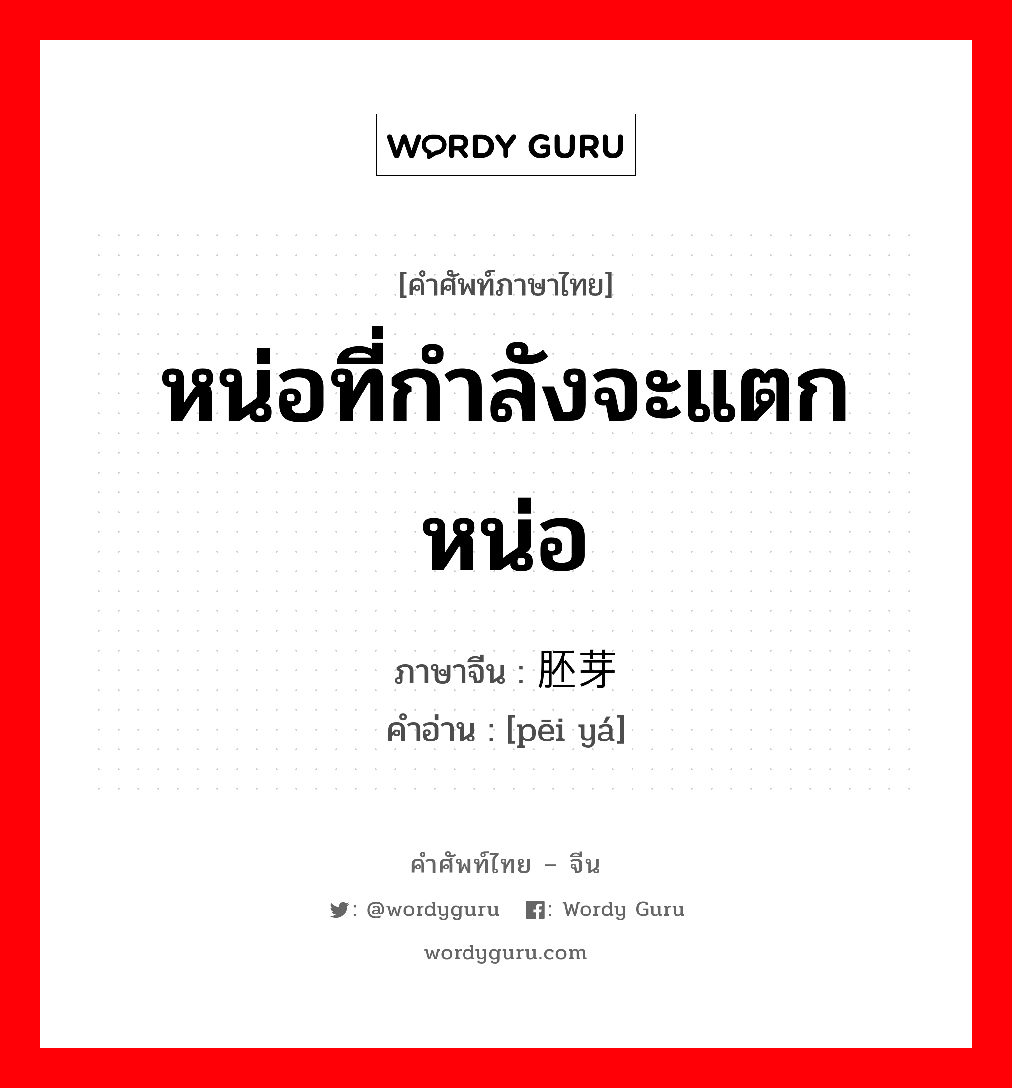 หน่อที่กำลังจะแตกหน่อ ภาษาจีนคืออะไร, คำศัพท์ภาษาไทย - จีน หน่อที่กำลังจะแตกหน่อ ภาษาจีน 胚芽 คำอ่าน [pēi yá]