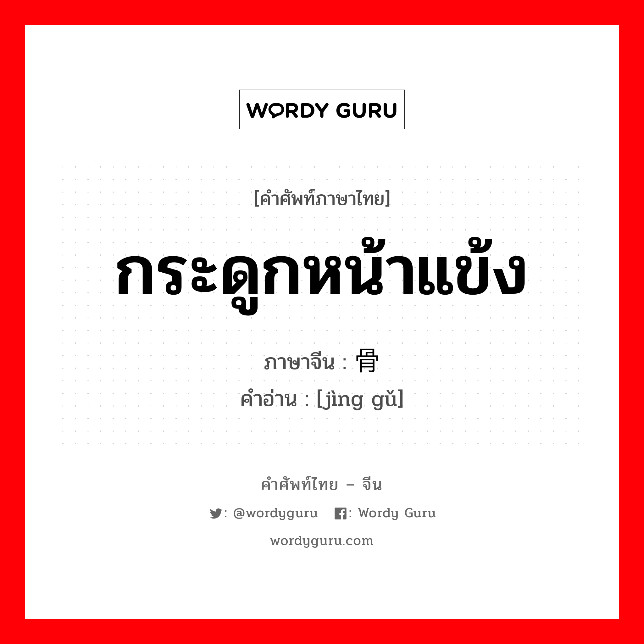 กระดูกหน้าแข้ง ภาษาจีนคืออะไร, คำศัพท์ภาษาไทย - จีน กระดูกหน้าแข้ง ภาษาจีน 胫骨 คำอ่าน [jìng gǔ]