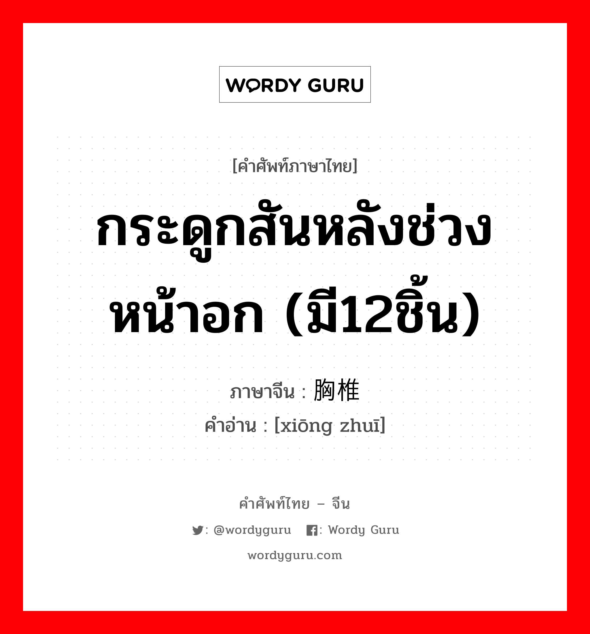 กระดูกสันหลังช่วงหน้าอก (มี12ชิ้น) ภาษาจีนคืออะไร, คำศัพท์ภาษาไทย - จีน กระดูกสันหลังช่วงหน้าอก (มี12ชิ้น) ภาษาจีน 胸椎 คำอ่าน [xiōng zhuī]