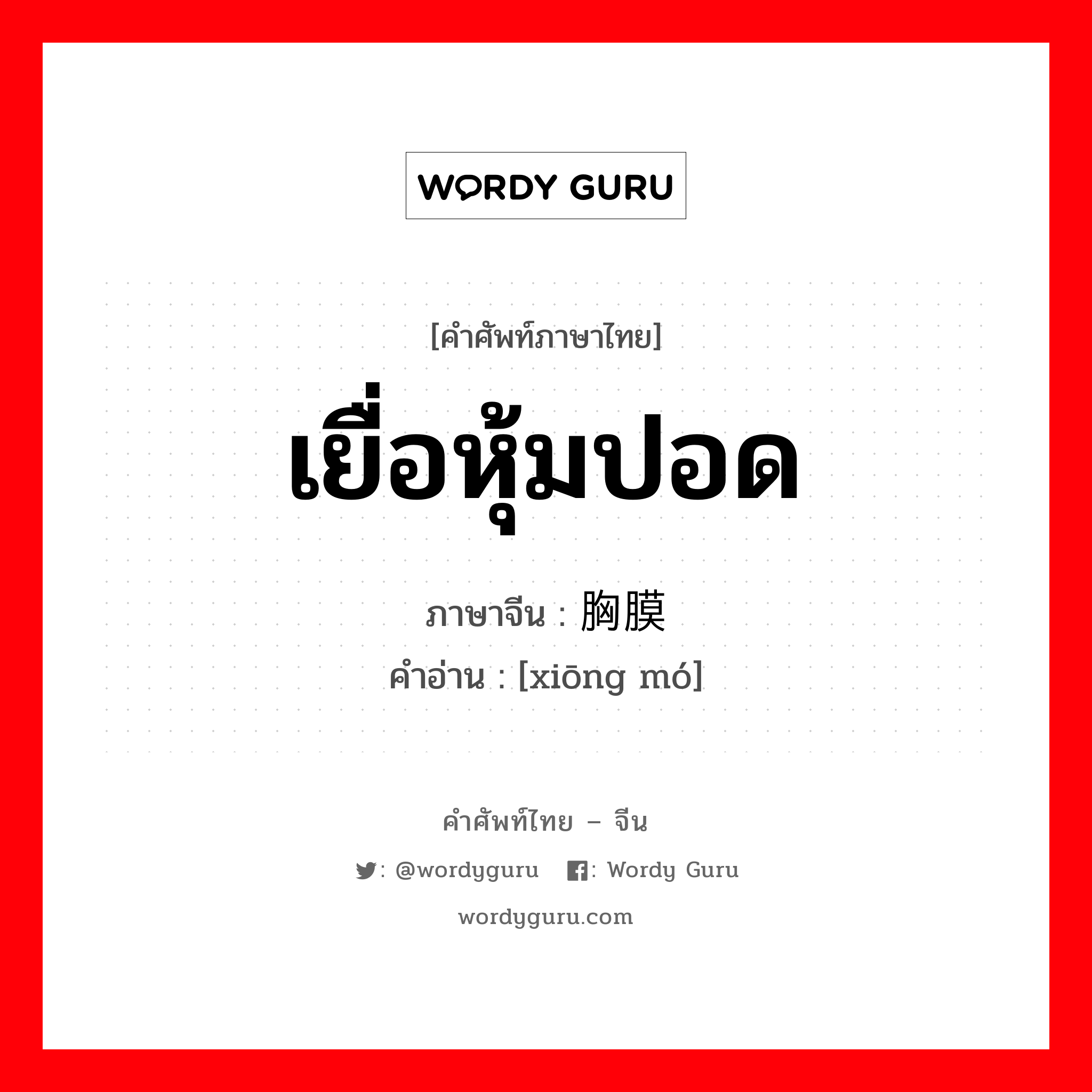 เยื่อหุ้มปอด ภาษาจีนคืออะไร, คำศัพท์ภาษาไทย - จีน เยื่อหุ้มปอด ภาษาจีน 胸膜 คำอ่าน [xiōng mó]