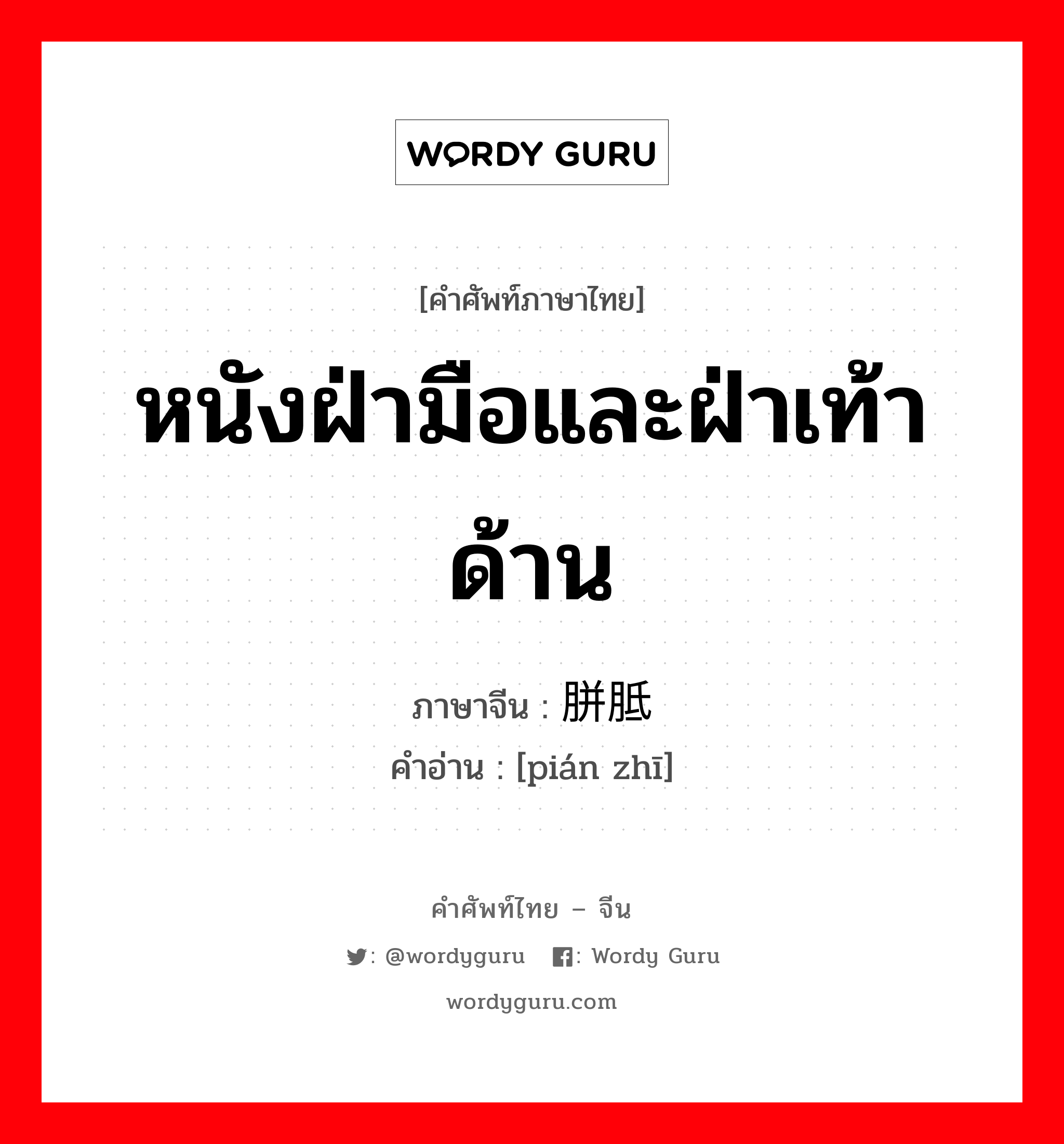 หนังฝ่ามือและฝ่าเท้าด้าน ภาษาจีนคืออะไร, คำศัพท์ภาษาไทย - จีน หนังฝ่ามือและฝ่าเท้าด้าน ภาษาจีน 胼胝 คำอ่าน [pián zhī]