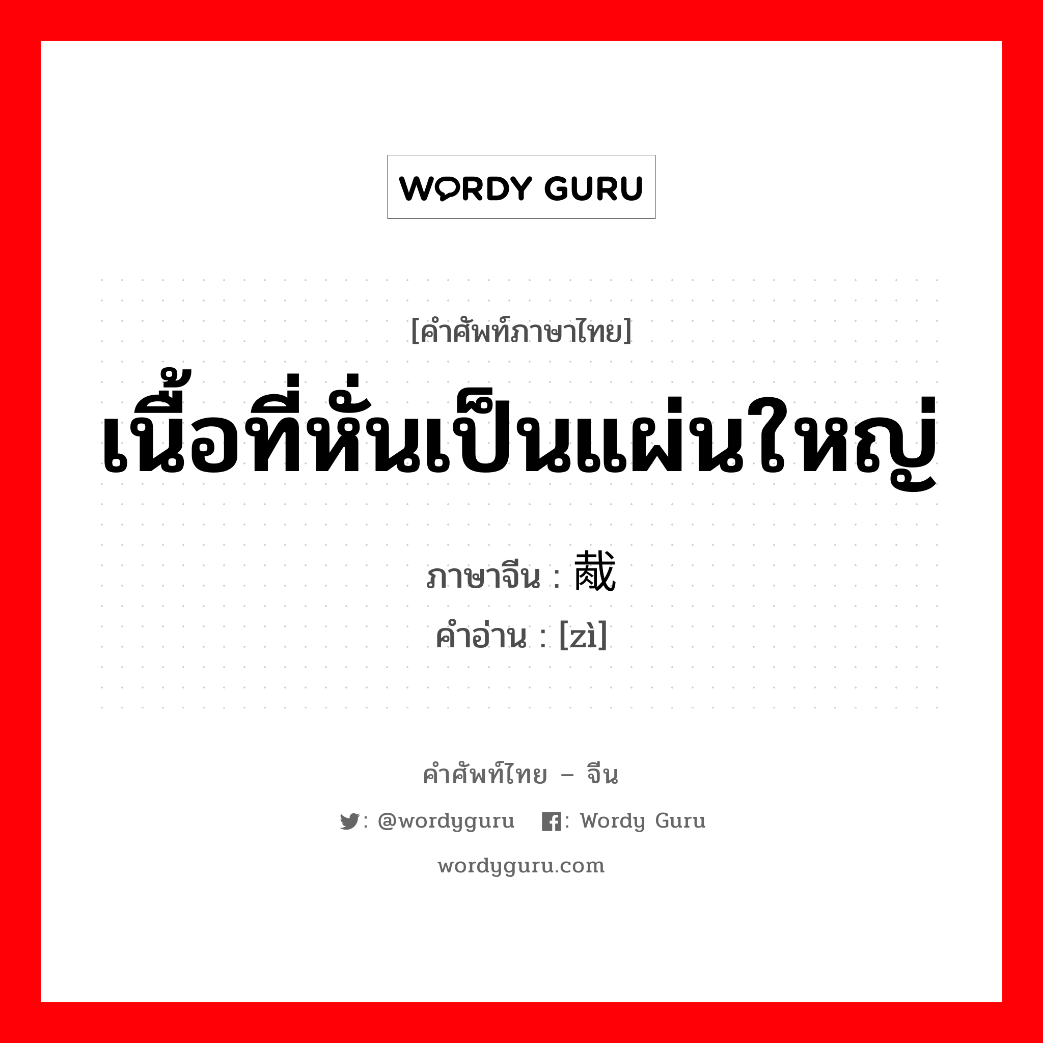 เนื้อที่หั่นเป็นแผ่นใหญ่ ภาษาจีนคืออะไร, คำศัพท์ภาษาไทย - จีน เนื้อที่หั่นเป็นแผ่นใหญ่ ภาษาจีน 胾 คำอ่าน [zì]