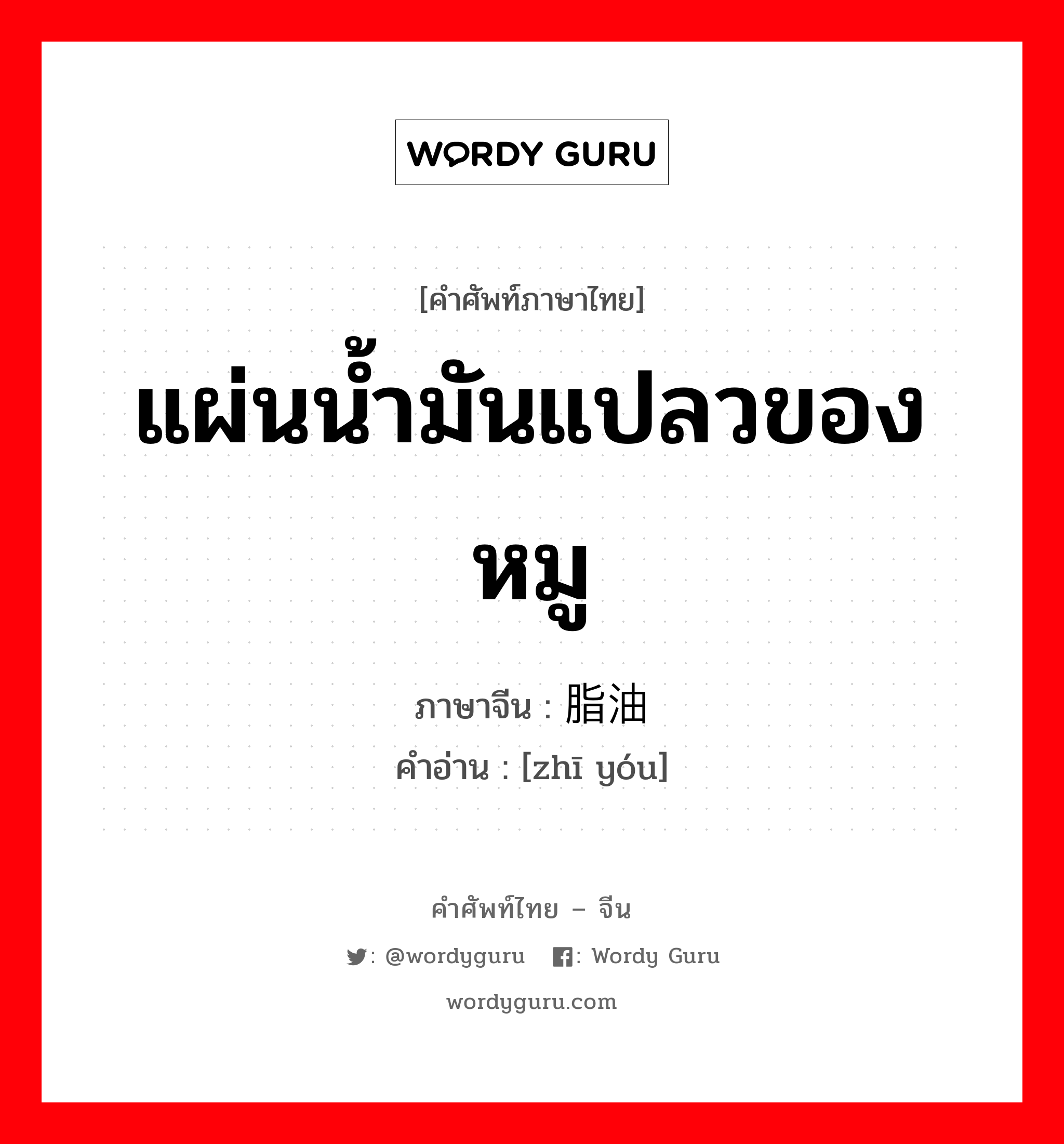 แผ่นน้ำมันแปลวของหมู ภาษาจีนคืออะไร, คำศัพท์ภาษาไทย - จีน แผ่นน้ำมันแปลวของหมู ภาษาจีน 脂油 คำอ่าน [zhī yóu]