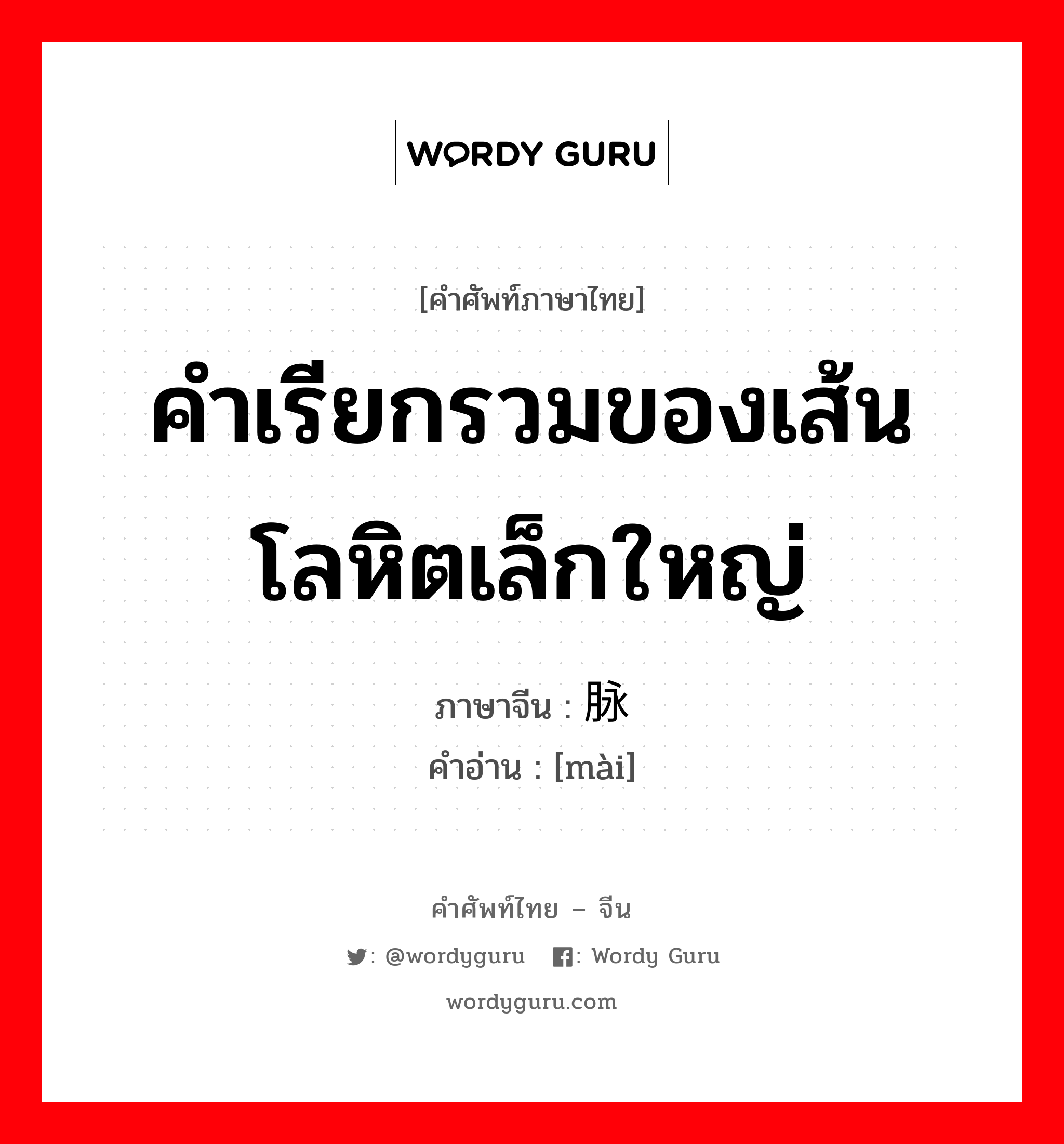 คำเรียกรวมของเส้นโลหิตเล็กใหญ่ ภาษาจีนคืออะไร, คำศัพท์ภาษาไทย - จีน คำเรียกรวมของเส้นโลหิตเล็กใหญ่ ภาษาจีน 脉 คำอ่าน [mài]